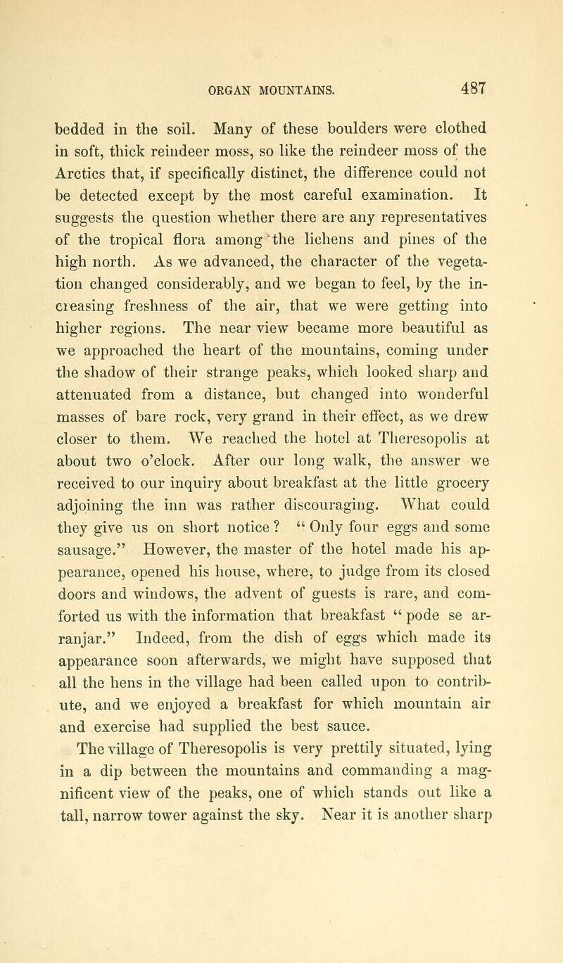 bedded in the soil. Many of these boulders were clothed in soft, thick reindeer moss, so like the reindeer moss of the Arctics that, if specifically distinct, the difference could not be detected except by the most careful examination. It suggests the question whether there are any representatives of the tropical flora among'the lichens and pines of the high north. As we advanced, the character of the vegeta- tion changed considerably, and we began to feel, by the in- creasing freshness of the air, that we were getting into higher regions. The near view became more beautiful as we approached the heart of the mountains, coming under the shadow of their strange peaks, which looked sharp and attenuated from a distance, but changed into wonderful masses of bare rock, very grand in their effect, as we drew closer to them. We reached the hotel at Theresopolis at about two o'clock. After our long walk, the answer we received to our inquiry about breakfast at the little grocery adjoining the inn was rather discouraging. What could they give us on short notice ?  Only four eggs and some sausage. However, the master of the hotel made his ap- pearance, opened his house, where, to judge from its closed doors and windows, the advent of guests is rare, and com- forted us with the information that breakfast  pode se ar- ranjar. Indeed, from the dish of eggs which made its appearance soon afterwards, we might have supposed that all the hens in the village had been called upon to contrib- ute, and we enjoyed a breakfast for which mountain air and exercise had supplied the best sauce. The village of Theresopolis is very prettily situated, lying in a dip between the mountains and commanding a mag- nificent view of the peaks, one of which stands out like a tall, narrow tower against the sky. Near it is another sharp