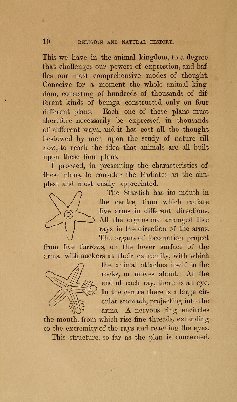 This we have in the animal kingdom, to a degree that challenges our powers of expression, and baf- fles our most comprehensive modes of thought. Conceive for a moment the whole animal king- dom, consisting of hundreds of thousands of dif- ferent kinds of beings, constructed only on four different plans. Each one of these plans must therefore necessarily be expressed in thousands of different ways, and it has cost all the thought bestowed by men upon the study of nature till noVP, to reach the idea that animals are all built upon these four plans. I proceed, in presenting the characteristics of these plans, to consider the Eadiates as the sim- plest and most easily appreciated. The Star-fish has its mouth in the centre, from which radiate five arms in different directions. All the organs are arranged like rays in the direction of the arms. The organs of locomotion project from five furrows, on the lower surface of the arms, with suckers at their extremity, with which the animal attaches itself to the rocks, or moves about. At the Cf^f end of each ray, there is an eye. ^^ In the centre there is a large cir- cular stomach, projecting into the arms. A nervous ring encircles the mouth, from which rise fine threads, extending to the extremity of the rays and reaching the eyes. This structure, so far as the plan is concerned.