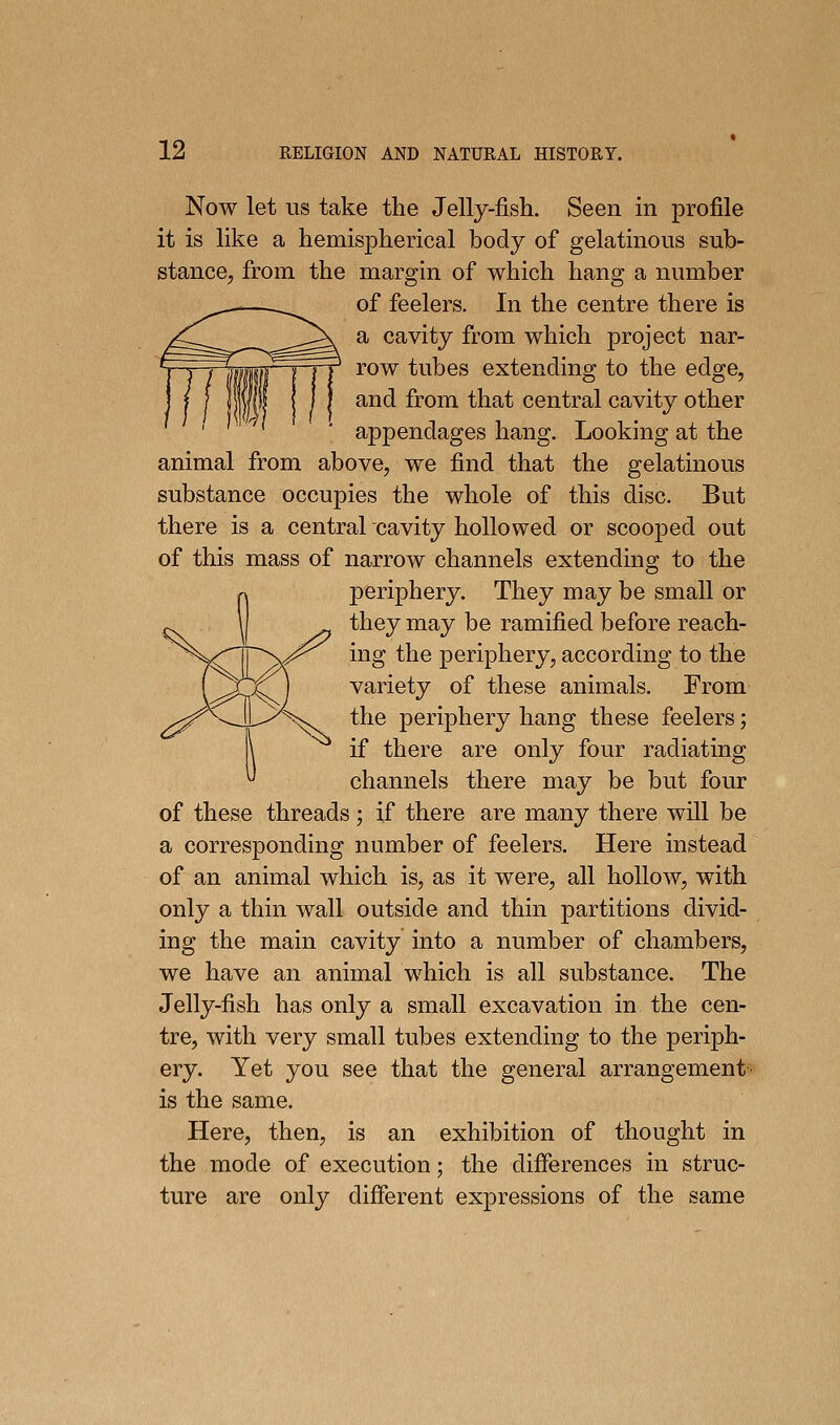 Now let US take the Jelly-fish. Seen in profile it is like a hemispherical body of gelatinous sub- stance, from the margin of which hang a number of feelers. In the centre there is a cavity from which project nar- row tubes extending to the edge, and from that central cavity other appendages hang. Looking at the animal from above, we find that the gelatinous substance occupies the whole of this disc. But there is a central cavity hollowed or scooped out of this mass of narrow channels extending to the periphery. They may be small or they may be ramified before reach- s^^ ing the periphery, according to the variety of these animals. From 'Sv. the periphery hang these feelers; if there are only four radiating channels there may be but four of these threads ; if there are many there will be a corresponding number of feelers. Here instead of an animal which is, as it were, all hollow, with only a thin wall outside and thin partitions divid- ing the main cavity into a number of chambers, we have an animal which is all substance. The Jelly-fish has only a small excavation in the cen- tre, with very small tubes extending to the periph- ery. Yet you see that the general arrangement is the same. Here, then, is an exhibition of thought in the mode of execution; the differences in struc- ture are only different expressions of the same