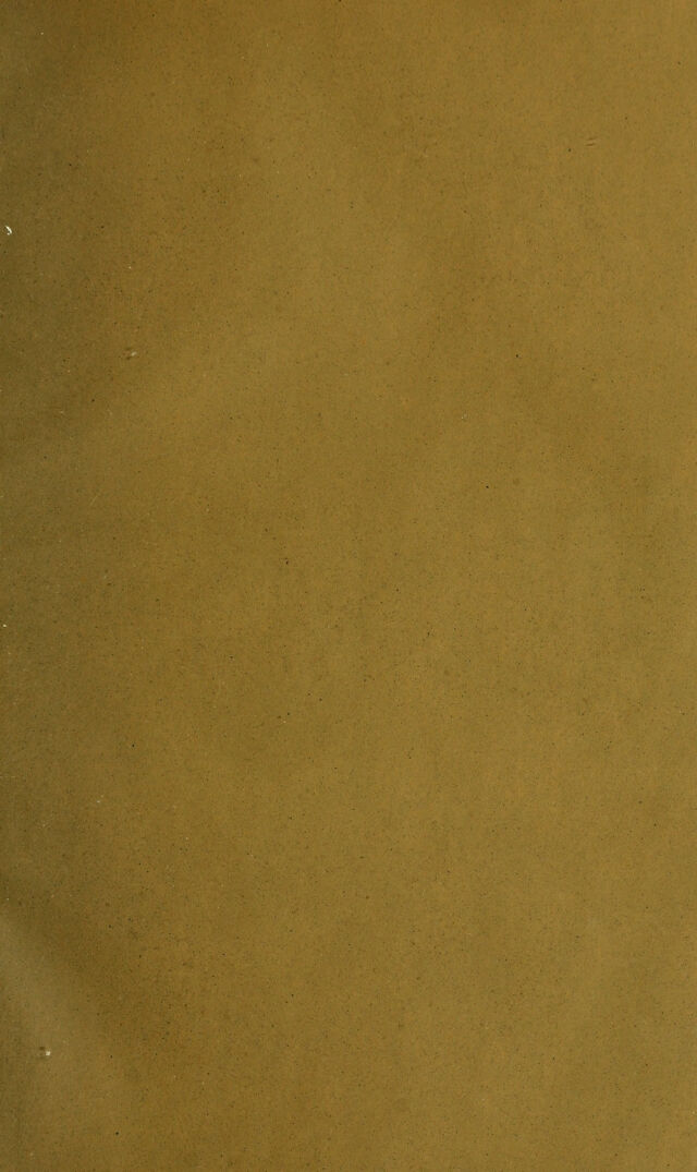 digitised image 3