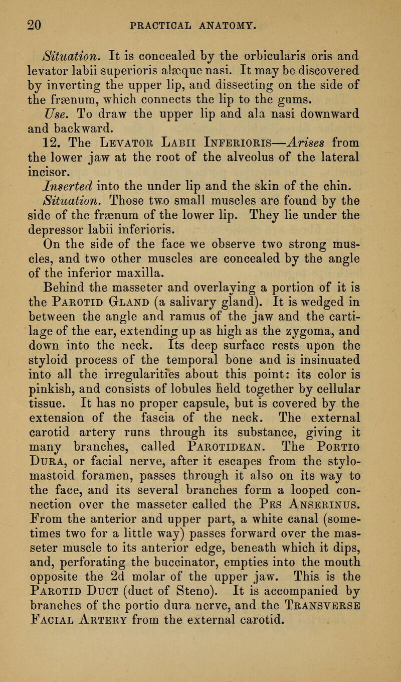 Situation. It is concealed by the orbicularis oris and levator labii superioris alseque nasi. It may be discovered by inverting the upper lip, and dissecting on the side of the frsenum, which connects the lip to the gums. Use. To draw the upper lip and ala nasi downward and backward. 12. The Levator Labii Inferioris—Arises from the lower jaw at the root of the alveolus of the lateral incisor. Inserted into the under lip and the skin of the chin. Situation. Those two small muscles are found by the side of the frsenum of the lower lip. They lie under the depressor labii inferioris. On the side of the face we observe two strong mus- cles, and two other muscles are concealed by the angle of the inferior maxilla. Behind the masseter and overlaying a portion of it is the Parotid Gland (a salivary gland). It is wedged in between the angle and ramus of the jaw and the carti- lage of the ear, extending up as high as the zygoma, and down into the neck. Its deep surface rests upon the styloid process of the temporal bone and is insinuated into all the irregularities about this point: its color is pinkish, and consists of lobules held together by cellular tissue. It has no proper capsule, but is covered by the extension of the fascia of the neck. The external carotid artery runs through its substance, giving it many branches, called Parotidean. The Portio Dura, or facial nerve, after it escapes from the stylo- mastoid foramen, passes through it also on its way to the face, and its several branches form a looped con- nection over the masseter called the Pes Anserinus. From the anterior and upper part, a white canal (some- times two for a little way) passes forward over the mas- seter muscle to its anterior edge, beneath which it dips, and, perforating the buccinator, empties into the mouth opposite the 2d molar of the upper jaw. This is the Parotid Duct (duct of Steno). It is accompanied by branches of the portio dura nerve, and the Transverse Facial Artery from the external carotid.