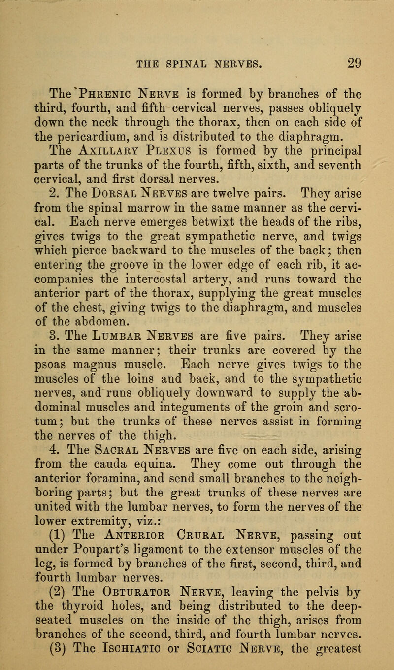 The'Phrenic Nerve is formed by branches of the third, fourth, and fifth cervical nerves, passes obliquely- down the neck through the thorax, then on each side of the pericardium, and is distributed to the diaphragm. The Axillary Plexus is formed by the principal parts of the trunks of the fourth, fifth, sixth, and seventh cervical, and first dorsal nerves. 2. The Dorsal Nerves are twelve pairs. They arise from the spinal marrow in the same manner as the cervi- cal. Each nerve emerges betwixt the heads of the ribs, gives twigs to the great sympathetic nerve, and twigs which pierce backward to the muscles of the back; then entering the groove in the lower edge of each rib, it ac- companies the intercostal artery, and runs toward the anterior part of the thorax, supplying the great muscles of the chest, giving twigs to the diaphragm, and muscles of the abdomen. 3. The Lumbar Nerves are five pairs. They arise in the same manner; their trunks are covered by the psoas magnus muscle. Each nerve gives twigs to the muscles of the loins and back, and to the sympathetic nerves, and runs obliquely downward to supply the ab- dominal muscles and integuments of the groin and scro- tum; but the trunks of these nerves assist in forming the nerves of the thigh. 4. The Sacral Nerves are five on each side, arising from the cauda equina. They come out through the anterior foramina, and send small branches to the neigh- boring parts; but the great trunks of these nerves are united with the lumbar nerves, to form the nerves of the lower extremity, viz.: (1) The Anterior Crural Nerve, passing out under Poupart's ligament to the extensor muscles of the leg, is formed by branches of the first, second, third, and fourth lumbar nerves. (2) The Obturator Nerve, leaving the pelvis by the thyroid holes, and being distributed to the deep- seated muscles on the inside of the thigh, arises from branches of the second, third, and fourth lumbar nerves. (3) The Ischiatic or Sciatic Nerve, the greatest