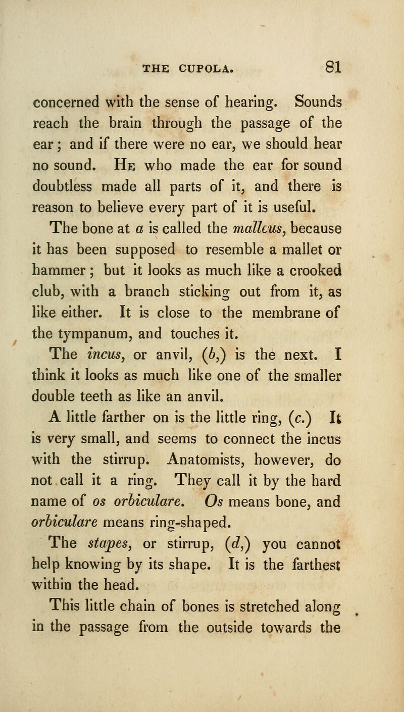 concerned with the sense of hearing. Sounds reach the brain through the passage of the ear; and if there were no ear, we should hear no sound. He who made the ear for sound doubtless made all parts of it, and there is reason to believe every part of it is useful. The bone at a is called the malleus, because it has been supposed to resemble a mallet or hammer; but it looks as much like a crooked club, with a branch sticking out from it, as like either. It is close to the membrane of the tympanum, and touches it. The incus, or anvil, (6,) is the next. I think it looks as much like one of the smaller double teeth as like an anvil. A little farther on is the little ring, (c.) It is very small, and seems to connect the incus with the stirrup. Anatomists, however, do not call it a ring. They call it by the hard name of os orbiculare. Os means bone, and orbiculare means ring-shaped. The stapes, or stirrup, (e/,) you cannot help knowing by its shape. It is the farthest within the head. This little chain of bones is stretched along in the passage from the outside towards the