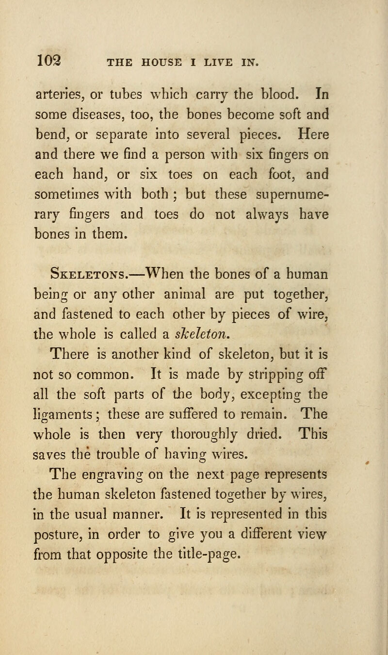 arteries, or tubes which carry the blood. In some diseases, too, the bones become soft and bend, or separate into several pieces. Here and there we find a person with six fingers on each hand, or six toes on each foot, and sometimes with both ; but these supernume- rary fingers and toes do not always have bones in them. Skeletons.—When the bones of a human being or any other animal are put together, and fastened to each other by pieces of wire, the whole is called a skeleton. There is another kind of skeleton, but it is not so common. It is made by stripping off all the soft parts of the body, excepting the ligaments ; these are suffered to remain. The whole is then very thoroughly dried. This saves the trouble of having wires. The engraving on the next page represents the human skeleton fastened together by wires, in the usual manner. It is represented in this posture, in order to give you a different view from that opposite the title-page.