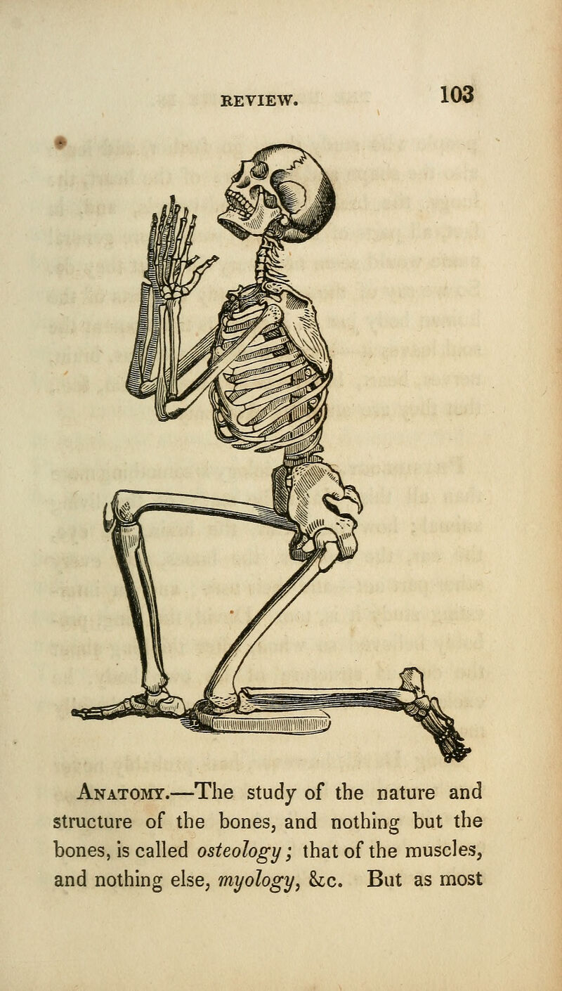 Anatomy.—The study of the nature and structure of the bones, and nothing but the bones, is called osteology; that of the muscles, and nothing else, myology, he. But as most