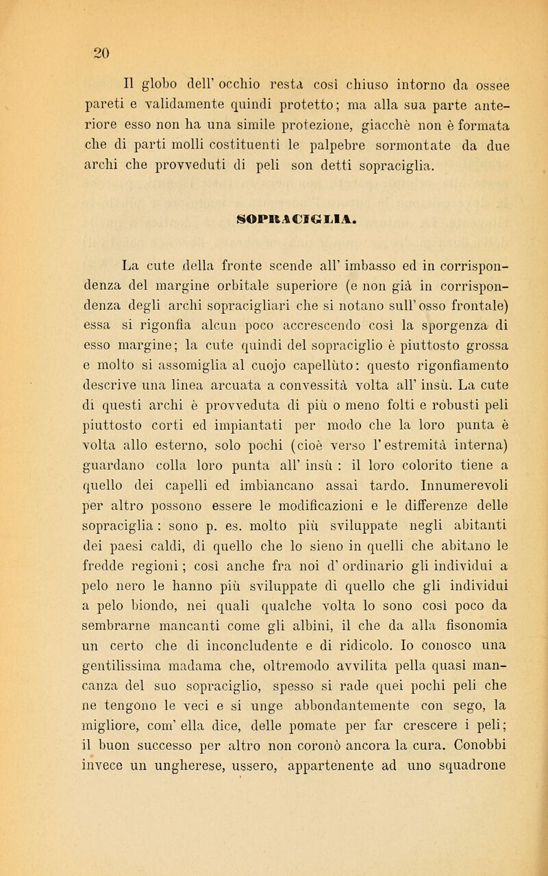 Il globo dell' occhio resta così chiuso intorno da ossee pareti e validamente quindi protetto; ma alla sua parte ante- riore esso non ha una simile protezione, giacché non è formata che di parti molli costituenti le palpebre sormontate da due archi che provveduti di peli son detti sopraciglia. SOPKACIGLIA. La cute della fronte scende all' imbasso ed in corrispon- denza del margine orbitale superiore (e non già in corrispon- denza degli archi sopracigliari che si notano sull' osso frontale) essa si rigonfia alcun poco accrescendo così la sporgenza di esso margine ; la cute quindi del sopraciglio è piuttosto grossa e molto si assomiglia al cuojo capelluto: questo rigonfiamento descrive una linea arcuata a convessità volta all' insù. La cute di questi archi è provveduta di più o meno folti e robusti peli piuttosto corti ed impiantati per modo che la loro punta è volta allo esterno, solo pochi (cioè verso l'estremità interna) guardano colla loro punta all' insù : il loro colorito tiene a quello dei capelli ed imbiancano assai tardo. Innumerevoli per altro possono essere le modificazioni e le differenze delle sopraciglia : sono p. es. molto più sviluppate negli abitanti dei paesi caldi, di quello che lo sieno in quelli che abitano le fredde regioni ; così anche fra noi d' ordinario gli individui a pelo nero le hanno più sviluppate di quello che gli individui a pelo biondo, nei quali qualche volta lo sono così poco da sembrarne mancanti come gli albini, il che da alla fìsonomia un certo che di inconcludente e di ridicolo. Io conosco una gentilissima madama che, oltremodo avvilita pella quasi man- canza del suo sopraciglio, spesso si rade quei pochi peli che ne tengono le veci e si unge abbondantemente con sego, la migliore, com' ella dice, delle pomate per far crescere i peli ; il buon successo per altro non coronò ancora la cura. Conobbi invece un ungherese, ussero, appartenente ad uno squadrone