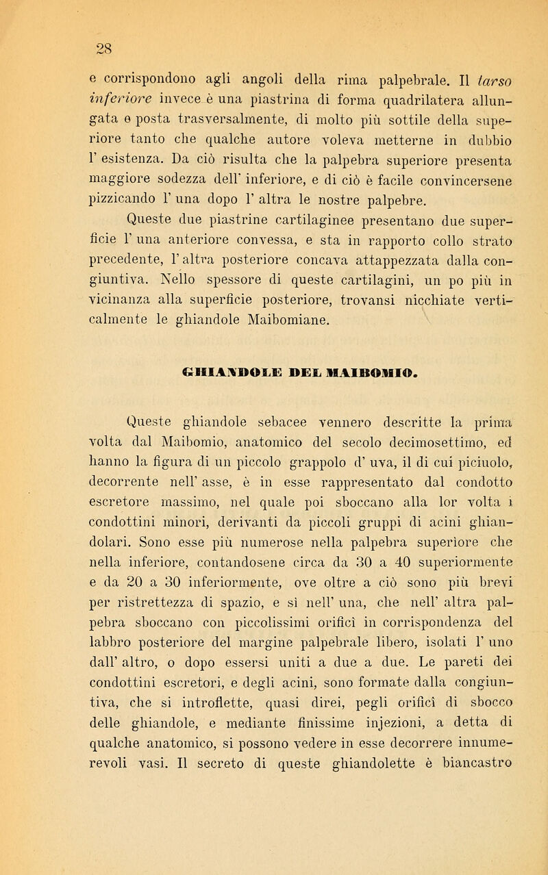 e corrispondono agli angoli della rima palpebrale. Il tarso inferiore invece è una piastrina di forma quadrilatera allun- gata e posta trasversalmente, di molto più sottile della supe- riore tanto che qualche autore voleva metterne in dubbio 1' esistenza. Da ciò risulta che la palpebra superiore presenta maggiore sodezza dell' inferiore, e di ciò è facile convincersene pizzicando 1' una dopo 1' altra le nostre palpebre. Queste due piastrine cartilaginee presentano due super- fìcie 1' una anteriore convessa, e sta in rapporto collo strato precedente, l'altra posteriore concava attappezzata dalla con- giuntiva. Nello spessore di queste cartilagini, un pò più in vicinanza alla superficie posteriore, trovansi nicchiate verti- calmente le ghiandole Maibomiane. « IIEAXDOJMU DEIi IIAIBOIIIO. Queste ghiandole sebacee vennero descritte la prima volta dal Maibomio, anatomico del secolo decimosettimo, ed hanno la figura di un piccolo grappolo d' uva, il di cui piciuolo, decorrente nell' asse, è in esse rappresentato dal condotto escretore massimo, nel quale poi sboccano alla lor volta i condottini minori, derivanti da piccoli gruppi di acini ghian- dolari. Sono esse più numerose nella palpebra superiore che nella inferiore, contandosene circa da 30 a 40 superiormente e da 20 a 30 inferiormente, ove oltre a ciò sono più brevi per ristrettezza di spazio, e sì nell' una, che nell' altra pal- pebra sboccano con piccolissimi orifici in corrispondenza del labbro posteriore del margine palpebrale libero, isolati 1' uno dall' altro, o dopo essersi uniti a due a due. Le pareti dei condottini escretori, e degli acini, sono formate dalla congiun- tiva, che si introflette, quasi direi, pegli orifìci di sbocco delle ghiandole, e mediante finissime infezioni, a detta di qualche anatomico, si possono vedere in esse decorrere innume- revoli vasi. Il secreto di queste ghiandolette è biancastro