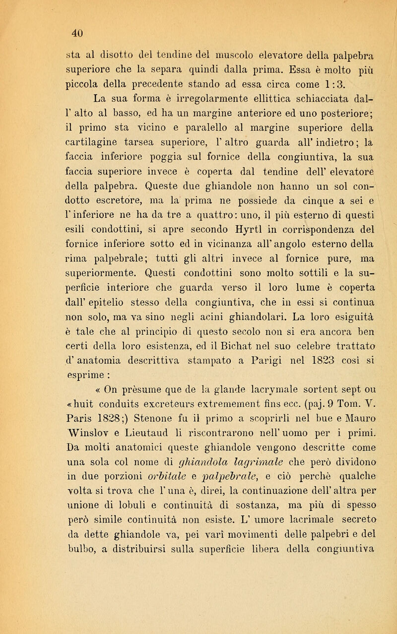 sta al disotto del tendine del muscolo elevatore della palpebra superiore che la separa quindi dalla prima. Essa è molto più piccola della precedente stando ad essa circa come 1:3. La sua forma è irregolarmente ellittica schiacciata dal- l' alto al basso, ed ha un margine anteriore ed uno posteriore; il primo sta vicino e paralello al margine superiore della cartilagine tarsea superiore, V altro guarda all' indietro ; la faccia inferiore poggia sul fornice della congiuntiva, la sua faccia superiore invece è coperta dal tendine dell' elevatore della palpebra. Queste due ghiandole non hanno un sol con- dotto escretore, ma la prima ne possiede da cinque a sei e T inferiore ne ha da tre a quattro : uno, il più esterno di questi esili condottini, si apre secondo Hyrtl in corrispondenza del fornice inferiore sotto ed in vicinanza all' angolo esterno della rima palpebrale; tutti gli altri invece al fornice pure, ma superiormente. Questi condottini sono molto sottili e la su- perfìcie interiore che guarda verso il loro lume è coperta dall' epitelio stesso della congiuntiva, che in essi si continua non solo, ma va sino negli acini ghiandolari. La loro esiguità è tale che al principio di questo secolo non si era ancora ben certi della loro esistenza, ed il Bichat nel suo celebre trattato d'anatomia descrittiva stampato a Parigi nel 1823 così si esprime : « On presume que de la glande lacrymale sortent sept ou «huit conduits excreteurs extremement fins ecc. (paj. 9 Tom. V. Paris 1828;) Stenone fu il primo a scoprirli nel bue e Mauro Winslov e Lieutaud li riscontrarono nell' uomo per i primi. Da molti anatomici queste ghiandole vengono descritte come una sola col nome di ghiandola lagrimale che però dividono in due porzioni orbitale e palpebrale, e ciò perchè qualche volta si trova che l'una è, direi, la continuazione dell' altra per unione di lobuli e continuità di sostanza, ma più di spesso però simile continuità non esiste. L' umore lacrimale secreto da dette ghiandole va, pei vari movimenti delle palpebri e del bulbo, a distribuirsi sulla superfìcie libera della congiuntiva