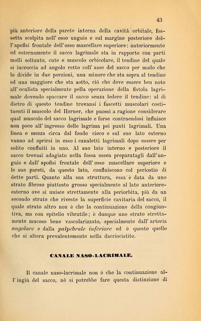 più anteriore della parete interna della cavità orbitale, fos- setta scolpita nell' osso unguis e sul margine posteriore del- l' apofisi frontale dell' osso mascellare superiore : anteriormente ed esternamente il sacco lagrimale sta in rapporto con parti molli soltanto, cute e muscolo orbicolare, il tendine del quale si incroccia ad angolo retto coli' asse del sacco per modo che lo divide in due porzioni, una minore che sta sopra al tendine ed una maggiore che sta sotto, ciò che deve essere ben noto all' oculista specialmente pella operazione della fistola lagri- male dovendo spaccare il sacco senza ledere il tendine: al di dietro di questo tendine trovansi i fascetti muscolari costi- tuenti il muscolo del Ilorner, che puossi a ragione considerare qual muscolo del sacco lagrimale e forse contraendosi influisce non poco all' ingresso delle lagrima pei punti lagrimali. Una linea e mezza circa dal fondo cieco e sul suo lato esterno vanno ad aprirsi in esso i canaletti lagrimali dopo essere per solito confluiti in uno. Al suo lato interno e posteriore il sacco trovasi adagiato nella fossa ossea preparatagli dall'un- guis e dall' apofisi frontale dell' osso mascellare superiore e le sue pareti, da questo lato, confluiscono col periostio di dette parti. Quanto alla sua struttura, essa è data da uno strato fibroso piuttosto grosso specialmente al lato anteriore- esterno ove si unisce strettamente alla periorbita, più da un secondo strato che riveste la superficie cavitaria del sacco, il quale strato altro non è che la continuazione della congiun- tiva, ma con epitelio vibratile ; è dunque uno strato stretta- mente mucoso bene vascolarizzato, specialmente dall' arteria angolare e dalla palpebrale inferiore ed è questo quello che si altera prevalentemente nella dacriocistite. CANALE NASO-LACRIMALE. Il canale naso-lacrimale non è che la continuazione al- l' ingiù del sacco, ne si potrebbe fare questa distinzione di