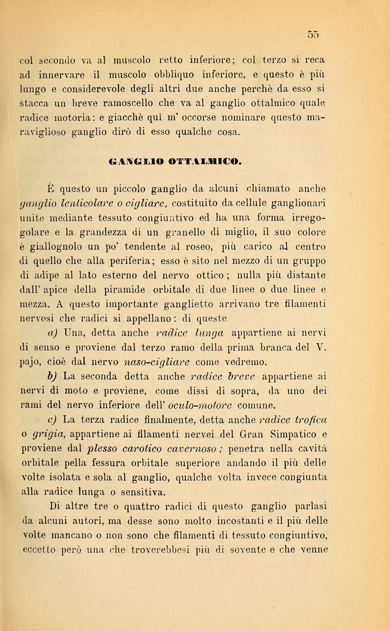 òo col secondo va al muscolo retto inferiore; col terzo si reca ad innervare il muscolo obbliquo inferiore, e questo è più lungo e considerevole degli altri due anche perchè da esso si stacca un breve ramoscello che va al ganglio ottalmico quale radice motoria: e giacché qui m' occorse nominare questo ma- raviglioso ganglio dirò di esso qualche cosa. GANGLIO OTTALMICO. È questo un piccolo ganglio da alcuni chiamato anche ganglio lenlicolare o cigliare, costituito da cellule ganglionari unite mediante tessuto congiuntivo ed ha una forma irrego- golare e la grandezza di un granello di miglio, il suo colore è giallognolo un po' tendente al roseo, più carico al centro di quello che alla periferìa; esso è sito nel mezzo di un gruppo di adipe al lato esterno del nervo ottico ; nulla più distante dall' apice della piramide orbitale di due linee o due linee e mezza. A questo importante ganglietto arrivano tre filamenti nervosi che radici si appellano : di queste a) Una, detta anche radice lunga appartiene ai nervi di senso e proviene dal terzo ramo della prima branca del V. pajo, cioè dal nervo naso-cigliare come vedremo. b) La seconda detta anche radice breve appartiene ai nervi di moto e proviene, come dissi di sopra, da uno dei rami del nervo inferiore dell' oculo-motore comune. e) La terza radice finalmente, detta anche radice trofica o grigia, appartiene ai filamenti nervei del Gran Simpatico e proviene dal plesso carotico cavernoso ; penetra nella cavità orbitale pella fessura orbitale superiore andando il più delle volte isolata e sola al ganglio, qualche volta invece congiunta alla radice lunga o sensitiva. Di altre tre o quattro radici di questo ganglio parlasi da alcuni autori, ma desse sono molto incostanti e il più delle volte mancano o non sono che filamenti di tessuto congiuntivo, eccetto però una che troverebbesi più di sovente e che venne