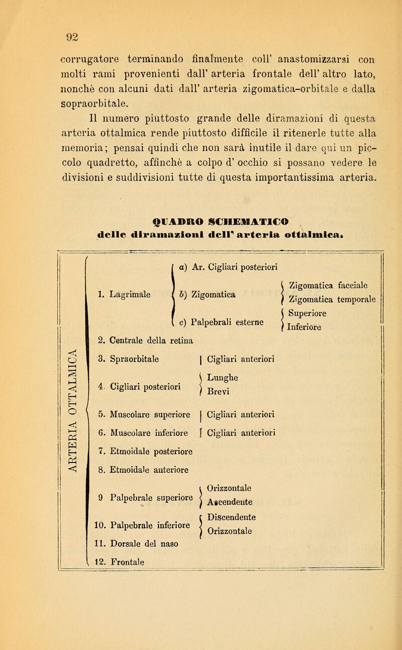 corrugatore terminando finalmente coli' anastomizzarsi con molti rami provenienti dall' arteria frontale dell' altro lato, nonché con alcuni dati dall' arteria zigomatica-orbitale e dalla sopraorbitale. Il numero piuttosto grande delle diramazioni di questa arteria ottalmica rende piuttosto difficile il ritenerle tutte alla memoria ; pensai quindi che non sarà inutile il dare qui un pic- colo quadretto, affinchè a colpo d' occhio si possano vedere le divisioni e suddivisioni tutte di questa importantissima arteria. QUADRO SCHEMATICO delle diramazioni dell4 arteria oftalmica» 1 a) Ar. Cigliari posteriori j 1. Lagrimale i b) Zigomatica I Zigomatica facciale 1 Zigomatica temporale [ e) Palpebrali esterne 1 Superiore 1 Inferiore 2. Centrale della retina < o 1—1 3. Spraorbitale | Cigliari anteriori < ^ Lunghe 4. Cigliari posteriori \ -n S < , 5. Muscolare superiore 1 Cigliari anteriori 6. Muscolare inferiore f Cigliari anteriori m H Pi < 7. Etmoidale posteriore 8. Etmoidale anteriore i Orizzontale 9 Palpebrale superiore j Ajjcendente C Discendente 10. Palpebrale inferiore / _. . . . r ) Orizzontale 11. Dorsale del naso v 12. Frontale