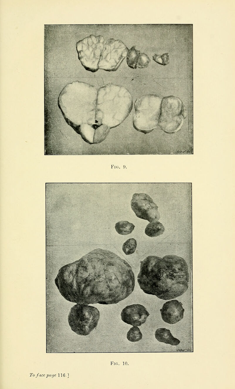 h^ /•'' \ I -/J r -^ V. iMU. 9. Fig. 10.