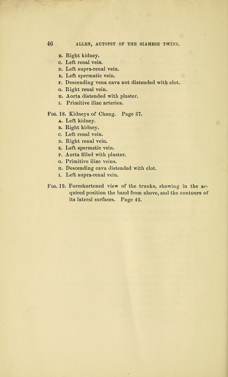 B. Right kidney, c. Left renal vein. D. Left supra-renal vein. E. Left spermatic vein, F. Descending vena cava not distended with clot. G. Right renal vein. H. Aorta distended with plaster. I. Primitive iliac arteries. Fig. 18. Kidneys of Chang. Page 37. A. Left kidney. B. Right kidney, c. Left renal vein. D. Right renal vein. E. Left spermatic vein. F. Aorta filled with plaster. G. Primitive iliac veins. H. Descending cava distended with clot. I. Left supra-renal vein. Fig. 19. Foreshortened view of the trunks, showing in the ac- quired position the band from above, and the contours of its lateral surfaces. Pase 42.