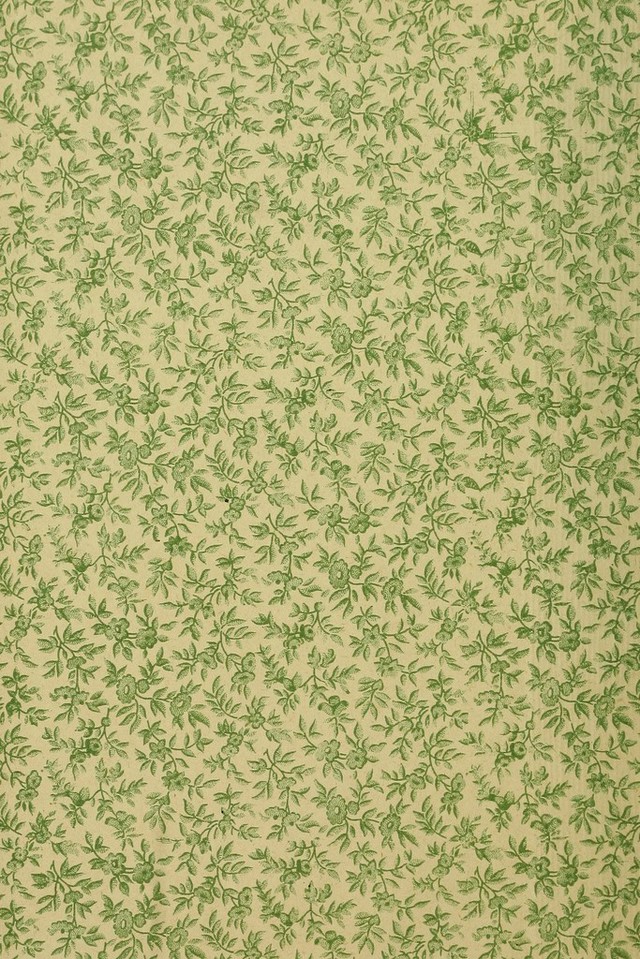 digitised image 2