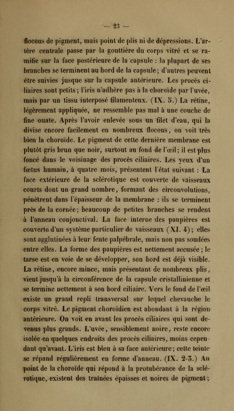 flocons de pigment, mais point de plis ni de dépressions. L'ar- tère centrale passe par la gouttière du corps vitré et se ra- mifie sur la face postérieure de la capsule : la plupart de ses branches se terminent au bord de la capsule; d'autres peuvent être suivies jusque sur la capsule antérieure. Les procès ci- Iiaires sont petits ; l'iris n'adhère pas à la choroïde par l'uvée, mais par un tissu interposé filamenteux. (IX. 5.) La rétine, légèrement appliquée, ne ressemble pas mal à une couche de fine ouate. Après l'avoir enlevée sous un filet d'eau, qui la divise encore facilement en nombreux flocons, on voit très bien la choroïde. Le pigment de cette dernière membrane est plutôt gris brun que noir, surtout au fond de l'œil; il est plus foncé dans le voisinage des procès ciliaires. Les yeux d'un fœtus humain, à quatre mois, présentent l'état suivant : La face extérieure de la sclérotique est couverte de vaisseaux courts dont un grand nombre, formant des circonvolutions, pénètrent dans l'épaisseur de la membrane : ils se terminent près de la cornée; beaucoup de petites branches se rendent à l'anneau conjonctival. La face interne des paupières est couverte d'un système particulier de vaisseaux (XI. 4); elles sont agglutinées à leur fente palpébrale, mais non pas soudées entre elles. La forme des paupières est nettement accusée ; le tarse est en voie de se développer, son bord est déjà visible. La rétine, encore mince, mais présentant de nombreux plis, vient jusqu'à la circonférence de la capsule cristallinienne et se termine nettement à son bord ciliaire. Vers le fond de l'œil existe un grand repli transversal sur lequel chevauche le corps vitré. Le pigment choroïdien est abondant à la région antérieure. On voit en avant les procès ciliaires qui sont de- venus plus grands. L'uvée, sensiblement noire, reste encore isolée en quelques endroits des procès ciliaires, moins cepen- dant qu'avant. L'iris est bleu à sa face antérieure ; cette teinte se répand régulièrement en forme d'anneau. (IX. 2-3.) Au point de la choroïde qui répond à la protubérance de la sclé- rotique, existent des traînées épaisses et noires de pigment ;