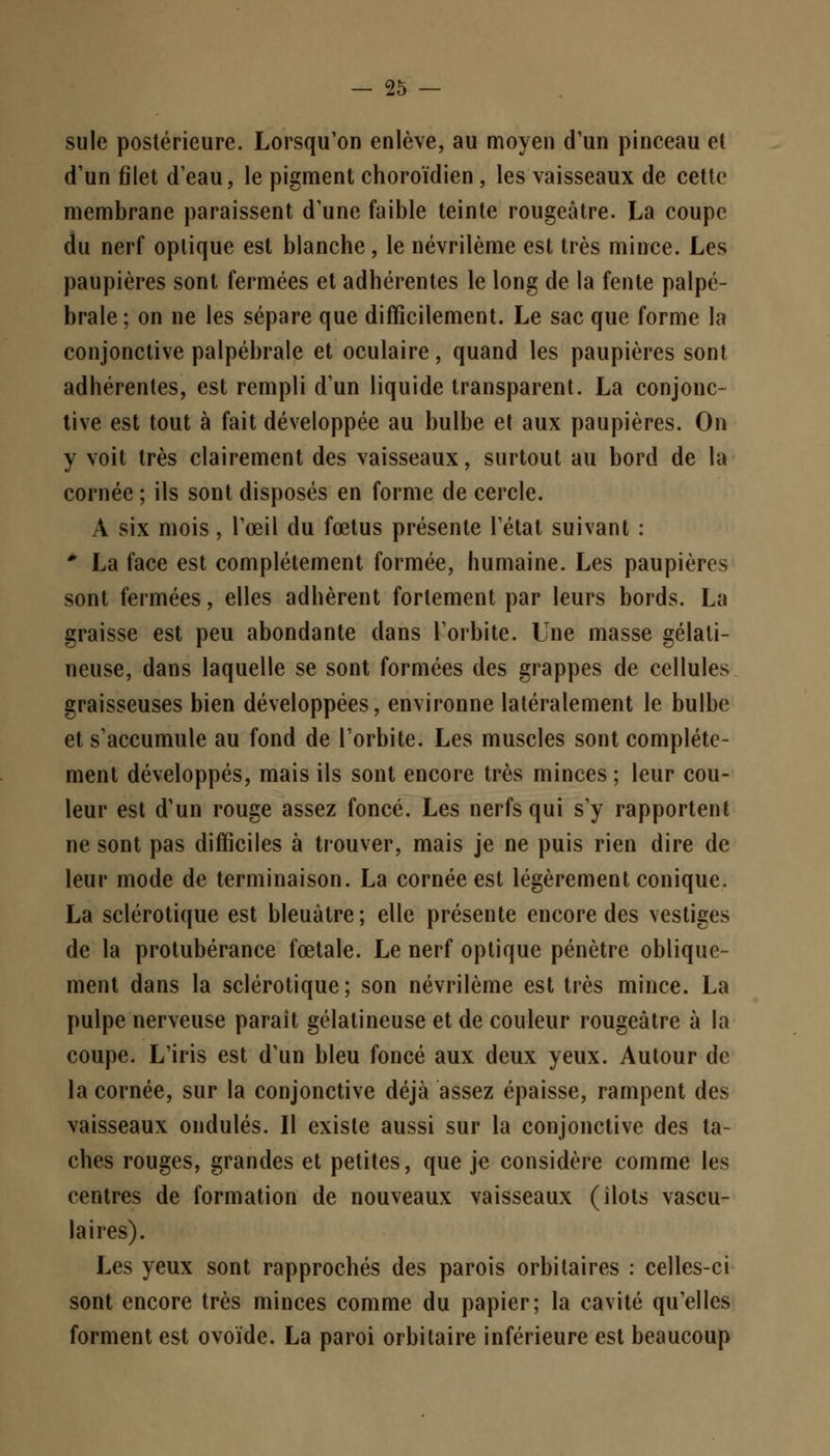 suie postérieure. Lorsqu'on enlève, au moyen d'un pinceau et d'un filet d'eau, le pigment choroïdien, les vaisseaux de cette membrane paraissent d'une faible teinte rougeàtre. La coupe du nerf optique est blanche, le névrilème est très mince. Les paupières sont fermées et adhérentes le long de la fente palpé- brale ; on ne les sépare que difficilement. Le sac que forme la conjonctive palpébrale et oculaire, quand les paupières sont adhérentes, est rempli d'un liquide transparent. La conjonc- tive est tout à fait développée au bulbe et aux paupières. On y voit très clairement des vaisseaux, surtout au bord de la cornée ; ils sont disposés en forme de cercle. A six mois, l'œil du fœtus présente l'état suivant : * La face est complètement formée, humaine. Les paupières sont fermées, elles adhèrent fortement par leurs bords. La graisse est peu abondante dans l'orbite. Une masse gélati- neuse, dans laquelle se sont formées des grappes de cellules graisseuses bien développées, environne latéralement le bulbe et s'accumule au fond de l'orbite. Les muscles sont complète- ment développés, mais ils sont encore très minces; leur cou- leur est d'un rouge assez foncé. Les nerfs qui s'y rapportent ne sont pas difficiles à trouver, mais je ne puis rien dire de leur mode de terminaison. La cornée est légèrement conique. La sclérotique est bleuâtre; elle présente encore des vestiges de la protubérance fœtale. Le nerf optique pénètre oblique- ment dans la sclérotique; son névrilème est très mince. La pulpe nerveuse paraît gélatineuse et de couleur rougeàtre à la coupe. L'iris est d'un bleu foncé aux deux yeux. Autour de la cornée, sur la conjonctive déjà assez épaisse, rampent des vaisseaux ondulés. Il existe aussi sur la conjonctive des ta- ches rouges, grandes et petites, que je considère comme les centres de formation de nouveaux vaisseaux (îlots vascu- laires). Les yeux sont rapprochés des parois orbitaires : celles-ci sont encore très minces comme du papier; la cavité qu'elles forment est ovoïde. La paroi orbitaire inférieure est beaucoup