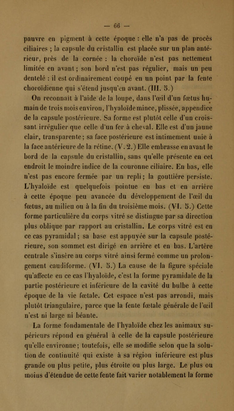 pauvre en pigment à cette époque : elle n'a pas de procès eiliaires ; la capsule du cristallin est placée sur un plan anté- rieur, près de la cornée : la choroïde n'est pas nettement limitée en avant ; son bord n'est pas régulier, mais un peu dentelé : il est ordinairement coupé en un point par la fenle choroïdienne qui s étend jusqu'en avant. (III. 5.) On reconnaît à l'aide de la loupe, dans l'œil d'un fœtus hu- main de trois mois environ, l'hyaloïde mince, plissée, appendice de la capsule postérieure. Sa forme est plutôt celle d'un crois- sant irrégulier que celle d'un fer à cheval. Elle est d'un jaune clair, transparente; sa face poslérieure est intimement unie à la face antérieure de la rétine. (V. 2.) Elle embrasse en avant le bord de la capsule du cristallin, sans qu'elle présente en cet endroit le moindre indice de la couronne ciliaire. En bas, elle n'est pas encore fermée par un repli ; la gouttière persiste. L'hyaloïde est quelquefois pointue en bas et en arrière à cette époque peu avancée du développement de l'œil du fœtus, au milieu ou à la fin du troisième mois. (VI. S.) Celte forme particulière du corps vitré se distingue par sa direction plus oblique par rapport au cristallin. Le corps vitré est en ce cas pyramidal ; sa base est appuyée sur la capsule poslé- rieure, son sommet est dirigé en arrière et en bas. L'artère centrale s'insère au corps vitré ainsi fermé comme un prolon- gement caudiforme. (VI. 5.) La cause de la figure spéciale qu'affecte en ce cas l'hyaloïde, c'est la forme pyramidale de la partie postérieure et inférieure de la cavité du bulbe à celte époque de la vie fœtale. Cet espace n'est pas arrondi, mais plutôt triangulaire, parce que la fenle fœtale générale de l'œil n'est ni large ni béante. La forme fondamentale de l'hyaloïde chez les animaux su- périeurs répond en général à celle de la capsule postérieure qu'elle environne; toutefois, elle se modifie selon que la solu- tion de continuité qui existe à sa région inférieure est plus grande ou plus petite, plus étroite ou plus large. Le plus ou moins d'étendue de celte fente fait varier notablement la forme