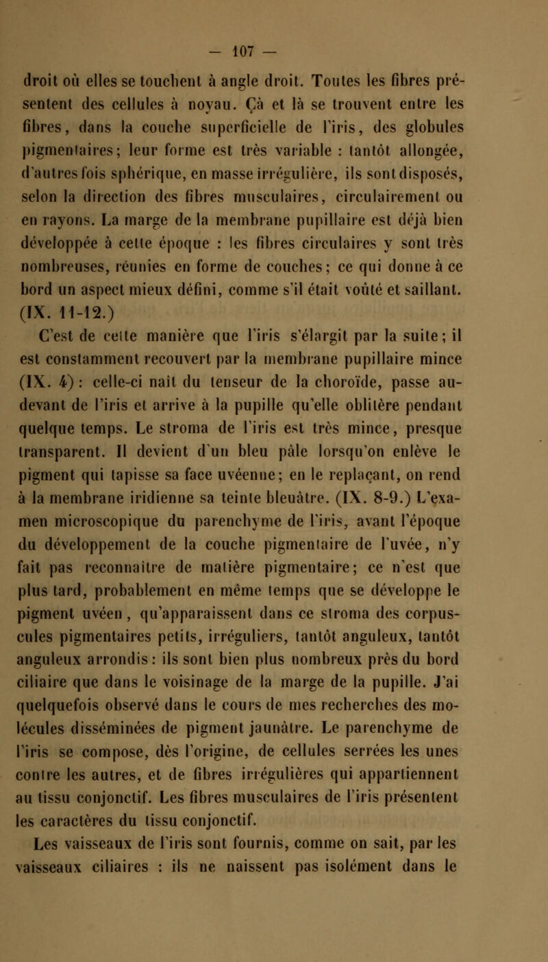 droit où elles se touchent à angle droit. Toutes les fibres pré- sentent des cellules à noyau. Çà et là se trouvent entre les fibres, dans la couche superficielle de l'iris, des globules pigmenlaires; leur forme est très variable : tantôt allongée, d'autres fois sphérique, en masse irrégulière, ils sont disposés, selon la direction des fibres musculaires, circulairement ou en rayons. La marge de la membrane pupillaire est déjà bien développée à celte époque : les fibres circulaires y sont très nombreuses, réunies en forme de couches; ce qui donne à ce bord un aspect mieux défini, comme s'il était voûté et saillant. (IX. 11-12.) C'est de celte manière que l'iris s'élargit par la suite; il est constamment recouvert par la membrane pupillaire mince (IX. 4) : celle-ci naît du tenseur de la choroïde, passe au- devant de l'iris et arrive à la pupille qu'elle oblitère pendant quelque temps. Le stroma de l'iris est très mince, presque transparent. Il devient d'un bleu pâle lorsqu'on enlève le pigment qui tapisse sa face uvéenne; en le replaçant, on rend à la membrane indienne sa teinte bleuâtre. (IX. 8-9.) L'exa- men microscopique du parenchyme de l'iris, avant l'époque du développement de la couche pigmeniaire de l'uvée, n'y fait pas reconnaître de matière pigmentaire; ce n'est que plus tard, probablement en même (emps que se développe le pigment uvéen , qu'apparaissent dans ce slroma des corpus- cules pigmentaires petits, irréguliers, tantôt anguleux, tantôt anguleux arrondis: ils sont bien plus nombreux près du bord ciliaire que dans le voisinage de la marge de la pupille. J'ai quelquefois observé dans le cours de mes recherches des mo- lécules disséminées de pigment jaunâtre. Le parenchyme de l'iris se compose, dès l'origine, de cellules serrées les unes contre les autres, et de fibres irrégulières qui appartiennent au tissu conjonctif. Les fibres musculaires de l'iris présentent les caractères du lissu conjonctif. Les vaisseaux de l'iris sont fournis, comme on sait, par les vaisseaux ciliaires : ils ne naissent pas isolément dans le