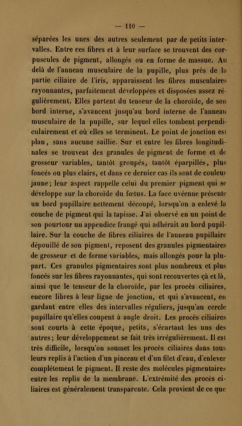 séparées les unes des autres seulement par de petits inter- valles. Entre ees fibres et à leur surface se trouvent des cor- puscules de pigment, allongés ou en forme de massue. Au delà de l'anneau musculaire de la pupille, plus près de la partie ciliaire de l'iris, apparaissent les fibres musculaires rayonnantes, parfaitement développées et disposées assez ré gulièrement. Elles partent du tenseur de la choroïde, de son bord interne, s'avancent jusqu'au bord interne de l'anneau musculaire de la pupille, sur lequel elles tombent perpendi- culairement et où elles se terminent. Le point de jonction esl plan, sans aucune saillie. Sur et entre les fibres longitudi- nales se trouvent des granules de pigment de forme et de grosseur variables, tantôt groupés, tantôt éparpillés, plus foncés ou plus clairs, et dans ce dernier cas ils sont de couleur jaune; leur aspect rappelle celui du premier pigment qui se développe sur la choroïde du fœtus. La face u\éenne présente un bord pupillaire nettement découpé, lorsqu'on a enlevé la couche de pigment qui la tapisse. J'ai observé en un point de son pourtour un appendice frangé qui adhérait au bord pupil- laire. Sur la couche de fibres ciliaires de l'anneau pupillaire dépouillé de son pigment, reposent des granules pigmentaires de grosseur et de forme variables, mais allongés pour la plu- part. Ces granules pigmentaires sont plus nombreux et plus foncés sur les fibres rayonnantes, qui sont recouvertes çà et là, ainsi que le tenseur de la choroïde, par les procès ciliaires, encore libres à leur ligne de jonction, et qui s'avancent, en gardant entre elles des intervalles réguliers, jusqu'au cercle pupillaire qu'elles coupent à angle droit. Les procès ciliaires sont courts à cette époque, petits, s'écartant les uns des autres; leur développement se fait très irrégulièrement. Il est très difficile, lorsqu'on soumet les procès ciliaires dans tous leurs replis à l'action d'un pinceau et d'un filet d'eau, d'enlever complètement le pigment. Il reste des molécules pigmentaires entre les replis de la membrane. L'extrémité des procès ci- liaires est généralement transparente. Cela provient de ce que