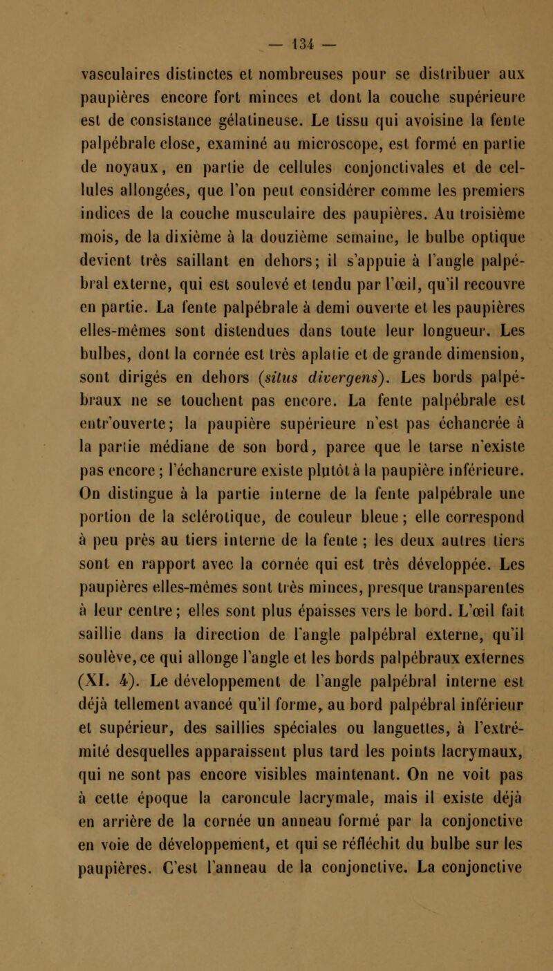 vasculaires distinctes et nombreuses pour se distribuer aux paupières encore fort minces et dont la couche supérieure est de consistance gélatineuse. Le tissu qui avoisine la fenle palpébrale close, examiné au microscope, est formé en pariie de noyaux, en partie de cellules conjonctivales et de cel- lules allongées, que Ton peut considérer comme les premiers indices de la couche musculaire des paupières. Au troisième mois, de la dixième à la douzième semaine, le bulbe optique devient très saillant en dehors; il s'appuie à 1 angle palpé- bral externe, qui est soulevé et lendu par l'œil, qu'il recouvre en partie. La fente palpébrale à demi ouverte et les paupières elles-mêmes sont distendues dans toule leur longueur. Les bulbes, dont la cornée est très aplatie et de grande dimension, sont dirigés en dehors (situs divergens). Les bords palpé- braux ne se touchent pas encore. La fente palpébrale est entrouverte; la paupière supérieure n'est pas échancrée à la pariie médiane de son bord, parce que le tarse n'existe pas encore ; 1 echancrure existe plutôt à la paupière inférieure. On distingue à la partie interne de la fente palpébrale une portion de la sclérotique, de couleur bleue ; elle correspond à peu près au tiers interne de la fente ; les deux autres tiers sont en rapport avec la cornée qui est très développée. Les paupières elles-mêmes sont très minces, presque transparentes à leur centre; elles sont plus épaisses vers le bord. L'œil fait saillie dans la direction de l'angle palpébral externe, qu'il soulève, ce qui allonge l'angle et les bords palpébraux externes (XI. 4). Le développement de l'angle palpébral interne est déjà tellement avancé qu'il forme, au bord palpébral inférieur et supérieur, des saillies spéciales ou languettes, à l'extré- mité desquelles apparaissent plus tard les points lacrymaux, qui ne sont pas encore visibles maintenant. On ne voit pas à cette époque la caroncule lacrymale, mais il existe déjà en arrière de la cornée un anneau formé par la conjonctive en voie de développement, et qui se réfléchit du bulbe sur les paupières. C'est l'anneau de la conjonctive. La conjonctive