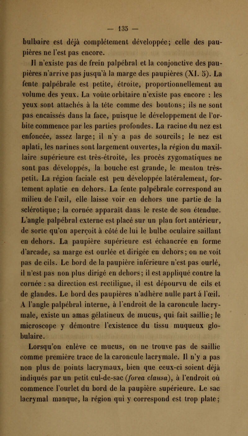 bulbaire est déjà complètement développée; celle des pau- pières ne l'est pas encore. Jl n'existe pas de frein palpébral et la conjonctive des pau- pières n'arrive pas jusqu'à la marge des paupières (XI. 5). La fente palpébrale est petite, étroite, proportionnellement au volume des yeux. La voûte orbitaire n'existe pas encore : les yeux sont attachés à la tête comme des boutons ; ils ne sont pas encaissés dans la face, puisque le développement de l'or- bite commence par les parties profondes. La racine du nez est enfoncée, assez large; il n'y a pas de sourcils; le nez est aplati, les narines sont largement ouvertes, la région du maxil- laire supérieure est très-étroite, les procès zygomaliques ne sont pas développés, la bouche est grande, le menton très- petit. La région faciale est peu développée latéralement, for- tement aplatie en dehors. La fente palpébrale correspond au milieu de l'œil, elle laisse voir en dehors une partie de la sclérotique; la cornée apparaît dans le reste de son étendue. L'angle palpébral externe est placé sur un plan fort antérieur, de sorte qu'on aperçoit à côté de lui le bulbe oculaire saillant en dehors. La paupière supérieure est échancrée en forme d'arcade, sa marge est ourlée et dirigée en dehors; on ne voit pas de cils. Le bord de la paupière inférieure n'est pas ourlé, il n'est pas non plus dirigé en dehors; il est appliqué contre la cornée : sa direction est recliligne, il est dépourvu de cils et de glandes. Le bord des paupières n'adhère nulle part à l'œil. A l'angle palpébral interne, à l'endroit de la caroncule lacry- male, existe un amas gélatineux de mucus, qui fait saillie; le microscope y démontre l'existence du tissu muqueux glo- bulaire. Lorsqu'on enlève ce mucus, on ne trouve pas de saillie comme première trace de la caroncule lacrymale. Il n'y a pas non plus de points lacrymaux, bien que ceux-ci soient déjà indiqués par un petit cul-de-sac (Jorea dansa), à l'endroit où commence l'ourlet du bord de la paupière supérieure. Le sac lacrymal manque, la région qui y correspond est trop plate;
