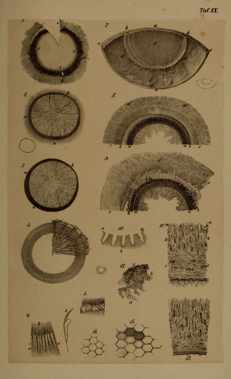 TafJX. x? « /a . 6 //a\ M% JB1 ' IAIJ/U