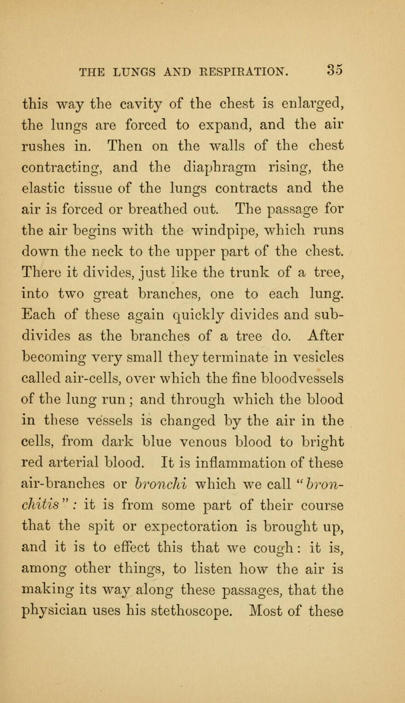 THE LUNGS AND EESPIRATION. 85 this way the cavity of the chest is enlarged, the lungs are forced to expand, and the air rushes in. Then on the walls of the chest contracting, and the diaphragm rising, the elastic tissue of the lungs contracts and the air is forced or breathed out. The passage for the air begins with the windpipe, which runs down the neck to the upper part of the chest. There it divides, just like the trunk of a tree, into two great branches, one to each lung. Each of these again quickly divides and sub- divides as the branches of a tree do. After becoming very small they terminate in vesicles called air-cells, over which the fine bloodvessels of the lung run ; and through which the blood in these vessels is chan2:ed bv the air in the cells, from dark blue venous blood to bright red arterial blood. It is inflammation of these air-branches or bronchi which we call h^on- chitis ; it is from some part of their course that the spit or expectoration is brought up, and it is to effect this that we couah: it is, among other things, to listen how the air is making its way along these passages, that the physician uses his stethoscope. Most of these