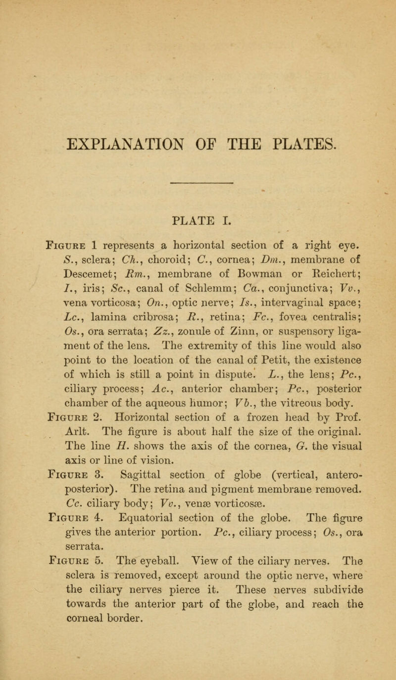 EXPLANATION OF THE PLATES. PLATE I. Figure 1 represents a horizontal section of a right eye. S., sclera; Ch., choroid; C, cornea; Dm., membrane of Descemet; Rm., membrane of Bowman or Reichert; /., iris; Sc, canal of Schlemm; Ca., conjunctiva; Vv., vena vorticosa; On., optic nerve; Is., intervaginal space; Lc.\ lamina cribrosa; R., retina; Fc, fovea centralis; Os., ora serrata; Zz., zonule of Zinn, or suspensory liga- ment of the lens. The extremity of this line would also point to the location of the canal of Petit, the existence of which is still a point in dispute. L., the lens; Pc, ciliary process; Ac, anterior chamber; Pc, posterior chamber of the aqueous humor; Vb., the vitreous body. Figure 2. Horizontal section of a frozen head by Prof. Arlt. The figure is about half the size of the original. The line H. shows the axis of the cornea, G. the visual axis or line of vision. Figure 3. Sagittal section of globe (vertical, antero- posterior). The retina and pigment membrane removed. Cc ciliary body; Vv., venae vorticosse. Figure 4. Equatorial section of the globe. The figure gives the anterior portion. Pc, ciliary process; Os., ora serrata. Figure 5. The eyeball. View of the ciliary nerves. The sclera is removed, except around the optic nerve, where the ciliary nerves pierce it. These nerves subdivide towards the anterior part of the globe, and reach the corneal border.