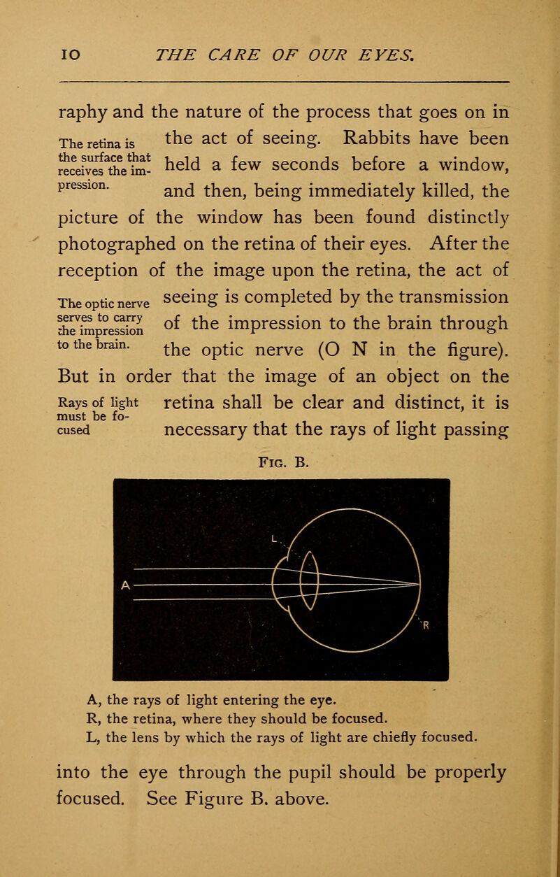 raphy and the nature of the process that goes on in The retina is tne act °f seeing. Rabbits have been rtceivefthVhn' held a few seconds before a window, pression. and the]lj being imme(iiately killed, the picture of the window has been found distinctly photographed on the retina of their eyes. After the reception of the image upon the retina, the act of The optic nerve seeing is completed by the transmission SptS of the impression to the brain through to the brain. the optic nerye (Q N in the figure) But in order that the image of an object on the Rays of light retina shall be clear and distinct, it is must be fo- cused necessary that the rays of light passing Fig. B. A, the rays of light entering the eye. R, the retina, where they should be focused. L, the lens by which the rays of light are chiefly focused. into the eye through the pupil should be properly focused. See Figure B. above.