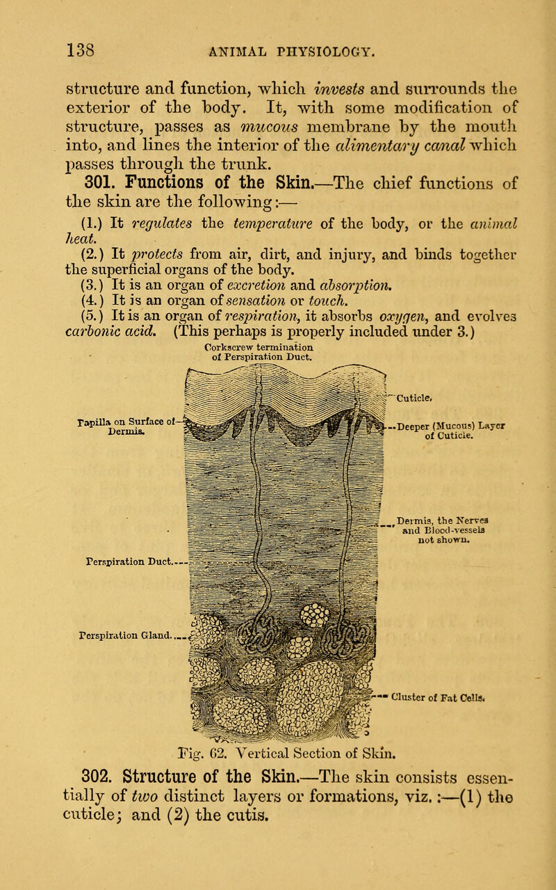 structure and function, which invests and sun'ounds the exterior of the body. It, with some modification of structure, passes as mucous membrane by the mouth into, and lines the interior of the alimentary canal which passes through the trunk. 301. Functions of the Skin.—The chief functions of the skin are the following:— (1.) It regulates the temperature of the body, or the animal heat. (2.) It protects from air, dirt, and injury, and binds together the superficial organs of the body. (3.) It is an organ of excretion and absorption, (4.) It is an organ oisensation or touch. (5.) It is an organ of respiration, it absorbs oxygen, and evolves carbonic acid. (This perhaps is properly included under 3.) Corkscrew termination of Perspiration. Duct. TapUla, on Surface °'-^^^^^^^^^^^^^W...Dceper (Mucous) Layer ^^^^^ ^^^^^^^^^^^^M^^B of Cuticle. ^Dermis, the Nervea and Blood-vessels not shown. Perspiration Duct.. Perspiration Gland.. ' Cluster of Fat Cells. Tig. C2. Vertical Section of Skin. 302. Structure of the Skin.—The skin consists essen- tially of two distinct layers or formations, viz.:—(1) the cuticle; and (2) the cutis.