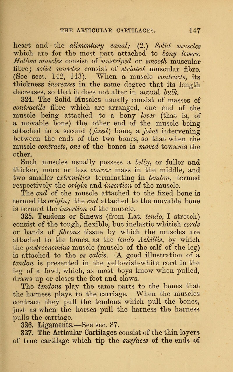 heart and ■ tlie alimentary canal; (2.) Solid m wliich are for the most part attached to bony levers. Hollow muscles consist of unstri2Jed or smooth muscular fibre; solid muscles consist of striated muscular fibre. (See sees. 142, 143). When a muscle contracts, its thickness increases in the same degree that its length decreases, so that it does not alter in actual hulk. 324. The Solid Muscles usually consist of masses of contractile fibre which are arranged, one end of the muscle being attached to a bony lever (that is, of a movable bone) the other end of the muscle being attached to a second (fixed) bone, a joint intervening between the ends of the two bones, so that when the muscle contracts, one of the bones is moved towards the other. Such muscles usually possess a helly, or fuller and thicker, more or less convex mass in the middle, and two smaller extremities terminating in tendon, termed respectively the origin and insertion of the muscle. The end of the muscle attached to the fixed bone is termed its origin; the end attached to the movable bone is termed the insertion of the muscle. 325. Tendons or Sinews (from Lat. tendo, I stretch) consist of the tough, flexible, but inelastic whitish cords or bands of fibrous tissue by which the muscles are attached to the bones, as the tendo Achillis, by which the gastrocnemius muscle (muscle of the calf of the leg) is attached to the os calcis. A. good illustration of a tendon is presented in the yellowish-white cord in the leg of a fowl, which, as most boys know when pulled, draws up or closes the foot and claws. The tendons play the same parts to the bones that the harness plays to the carriage. When the muscles contract they pull the tendons which pull the bones, just as when the horses pull the harness the harness pulls the carriage. 326. Ligaments.—See sec. 87. 327. The Articular Cartilages consist of the thin layers of true cartilage which tip the surfaces of the ends of
