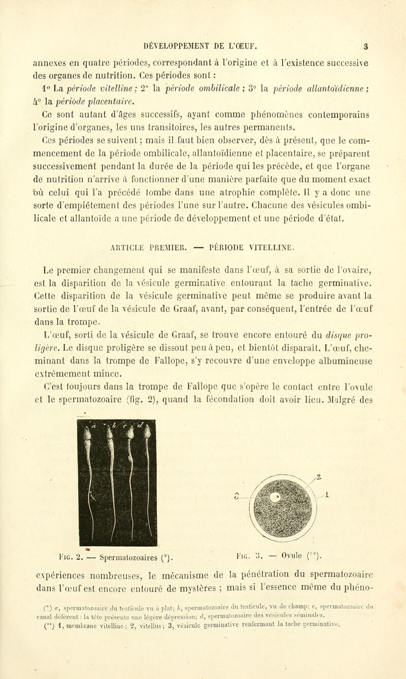annexes en quatre périodes, correspondant à l'origine et à l'existence successive des organes de nutrition. Ces périodes sont : 1° La 'période vitelUne ; 2 la période ombilicale; 3° la période allantoïdicnne ; [l° la période placentaire. Ce sont autant d'âges successifs, ayant comme phénomènes contemporains l'origine d'organes, les uns transitoires, les autres permanents. Ces périodes se suivent ; mais il faut bien observer, dès à présent;, que le com- mencement de la période ombilicale, allantoïdicnne et placentaire, se préparent successivement pendant la durée de la période qui les précède, et que l'organe de nutrition n'arrive à fonctionner d'une manière parfaite que du moment exact 'où celui qui l'a précédé tombe dans une atrophie complète. Il y a donc une sorte d'empiétement des périodes l'une sur l'autre. Chacune des vésicules ombi- licale et allantoïde a une période de développement et une période d'élat. ARTICLE PREMIER. — PÉRIODE VITELLINE. Le premier changement qui se manifeste dans l'œuf, à sa sortie de l'ovaire, est la disparition de la vésicule germinative entourant la tache germinalivc. Celte disparition de la vésicule germinalivc peut même se produire avant la sortie de l'œuf de la vésicule de Graaf, avant, par conséquent, l'entrée de l'œuf dans la trompe. L'œuf, sorti de la vésicule de Graaf, se trouve encore entouré du disque pro- ligère. Le disque proligère se dissout peu à peu, et bientôt disparaît. L'œuf, che- minant dans la trompe de Fallope, s'y recouvre d'une enveloppe albumineuse extrêmement mince. C'est toujours dans la trompe de Fallope que sopère le contact entre l'ovule et le spcrmatozoaire (fig. 2), quand la fécondalion doit avoir lieu. Malgré des EiG. 2. — Spermatozoaires (*). I'>G- '->• — Ovule ('*). expériences nombreuses, le mécanisme de la pénétration du spcrmatozoaire dans l'œuf est encore entouré de mystères ; mais si l'essence même du phéno- (*) 0, sperinatozouirc du testicule vu à plat; l, spermatozoaire du testicule, vu de champ; c, spermatuzoaiic du canal déférent : la tète préseute une lésère dépression; d, spermatozoaire des vésicules séminales. ('*; 4, membrane vitelline ; 2, vitellus; 3, vésicule germinative renfermant la tache germinative.