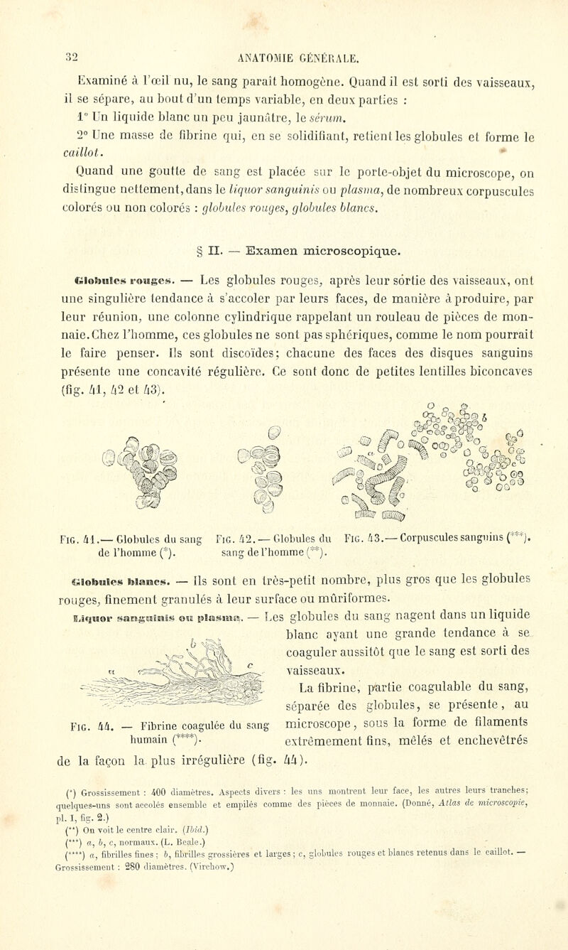 Examiné à l'œil nu, le sang paraît homogène. Quand il est sorli des vaisseaux, il se sépare, au bout d'un temps variable, en deux parties : 1° Un liquide blanc un peu jaunâtre, le sérum. 2° Une masse de fibrine qui, en se solidifiant, relient les globules el forme le caillot. * Quand une goutte de sang est placée sur le porte-objet du microscope, on distingue nettement, dans le liquor sanguinis ou plasma, de nombreux corpuscules colorés ou non colorés : globules rouges, globules blancs. § II. — Examen microscopique. Ciiobiiic« rouges. — Les globules rouges, après leur sortie des vaisseaux, ont une singulière tendance à s'accoler par leurs faces, de manière à produire, par leur réunion, une colonne cylindrique rappelant un rouleau de pièces de mon- naie. Chez l'homme, ces globules ne sont pas sphériques, comme le nom pourrait le faire penser. Ils sont discoïdes; chacune des faces des disques sanguins présente une concavité régulière. Ce sont donc de petites lentilles biconcaves (fig. Ul, hl et Zi3). FiG. 41.— Globules du sang FiG. 42. — Globules du Fig. 43. de l'homme (*). sang de l'homme T'*). ■ Corpuscules sanguins C'^*]. fàiobuies blancs. — Ils sont en très-petit nombre, plus gros que les globules rouges, finement granulés à leur surface ou mûriformes. CLiquor sangsaimis osa piasiMsa. — Les globules du sang nagent dans un liquide blanc ayant une grande tendance à se coaguler aussitôt que le sang est sorti des vaisseaux. La fibrine, partie coagulable du sang, séparée des globules, se présente, au microscope, sous la forme de filaments extrêmement fins, mêlés et enchevêtrés M). Fig. 44. - Fibrine coagulée du sang humain p***). de la façon la plus irrégulière (fis (*) Grossissement : 400 diamètres. Aspects divers : les uns montrent leur face, les autres leurs tranches; quelques-uns sont accolés ensemble et empilés comme des pièces de monnaie. (Donné, Atlas de microscopie, pi. I, fig. 2.) (**) On voit le centre clair. {Ihid.) (***) a, 6, c, normaux. (L. Beale.) (****) a, fibrilles fines ; b, fibrilles grossières et larges ; c, globules rouges et blancs retenus dans le caillot. — Grossissement : 280 diamètres. (VirclioTv.)