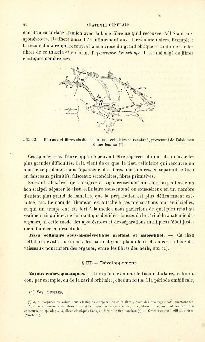 densité à sa surface d'union avec la lame fibreuse qu'il recouvre. Adhérant aux aponévroses, il adhère aussi très-intimement aux fibres musculaires. Exemple : le tissu cellulaire qui recouvre l'aponévrose du grand oblique se continue sur les fibres de ce muscle et en forme l'aponévrose d'enveloppe. Il est mélangé de fibres élastiques nombreuses. FiG. 52.— R(!seaux et fibres élastiques du tissu cellulaire sous-cutané, provenant de l'abdomen d'une femme (*). Ces aponévroses d'enveloppe ne peuvent être séparées du muscle qu'avec les plus grandes difficultés. Cela vient de ce que le tissu cellulaire qui recouvre un muscle se prolonge dans l'épaisseur des fibres musculaires, en séparant le tissu en faisceaux primitifs, faisceaux secondaires, fibres primitives. Souvent, chez les sujets maigres et vigoureusement musclés, on peut avec un bon scalpel séparer le tissu cellulaire sous-cutané ou sous-séreux en un nombre d'autant plus grand de lamelles, que la préparation est plus délicatement exé- cutée, etc. Le nom de Thomson est attaché à ces préparations tout artificielles, et qui un temps ont été fort à la mode; nous parlerions de quelques résultats vraiment singuliers, ne donnant que des idées fausses de la véritable anatomie dos organes, si cette mode des aponévroses et des séparations multiples n'était juste- ment tombée en désuétude. Tissu cellulaire sous-aponévrotique profond et interstitiel. — Ce tissu cellulaire existe aussi dans les parenchymes glanduleux et autres, autour des vaisseaux nourriciers des organes, entre les fibres des nerfs, etc. (1). § III. — Développement. iVoyaux embryopiastiques. — Lorsqu'on examine le tissu cellulaire, celui du cou, par exemple, ou de la cavité orbitaire, chez un fœtus à la période ombilicale, (1) Voy. Muscles. (*) a, a, porpuseules volumineux élastiques (corpuscules cellulaires), avec des prolongemeats anastomosés; b, b, amas volumineux de fibres formant la limite des larges aréoles ; c, c, fibres moyennes dont l'extrémité se contourne en spirale; d, d, fibres élastirpies fines, en forme de tire-boucbon (e). — Grossissement : 300 dianii-tres. (Virciiow.)