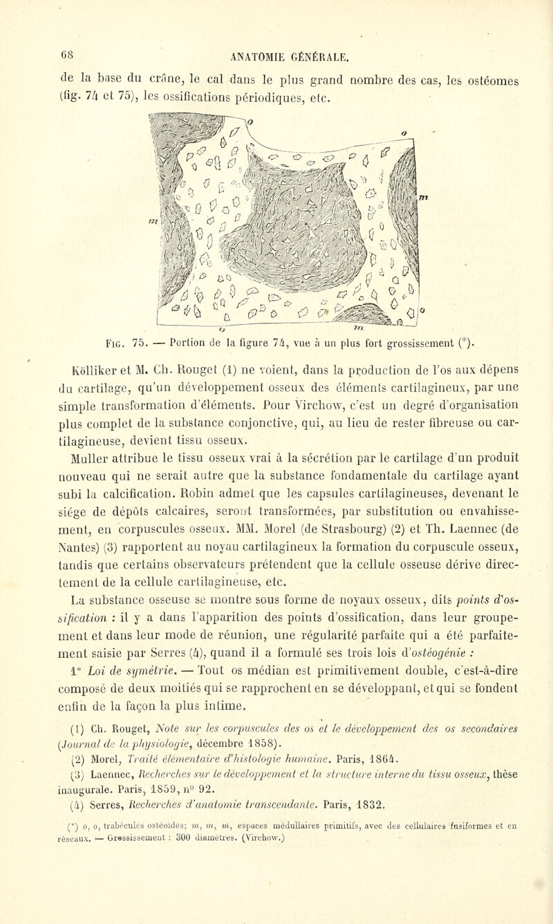 de la base du crâne, le cal dans le plus grand nombre des cas, les ostéomes (lîg. 7/i cl 75), les ossifications périodiques, etc. FiG. 75. — Portion de la figure 74, vue à un plus fort grossissement (*). Kôllikcr et M. Ch. Rouget (1) ne voient, dans la production de l'os aux dépens du cartilage, qu'un développement osseux des éléments cartilagineux, par une simple transformation d'éléments. Pour Virchow, c'est un degré d'organisation plus complet de la substance conjonctive, qui, au lieu de rester fibreuse ou car- tilagineuse, devient tissu osseux. Muller attribue le tissu osseux vrai à la sécrétion par le cartilage d'un produit nouveau qui ne serait autre que la substance fondamentale du cartilage ayant subi la calcification. Robin admet que les capsules cartilagineuses, devenant le siège de dépôts calcaires, seront transformées, par substitution ou envahisse- ment, en corpuscules osseux. MM. Morel (de Strasbourg) (2) et Th. Laennec (de Nantes) (3) rapportent au noyau cartilagineux la formation du corpuscule osseux, tandis que certains observateurs prétendent que la cellule osseuse dérive direc- tement de la cellule cartilagineuse, etc. La substance osseuse se montre sous forme de noyaux osseux, dits points d'os- si/ication : il y a dans l'apparition des points d'ossification, dans leur groupe- ment et dans leur mode de réunion, une régularité parfaite qui a été parfaite- ment saisie par Serres (/i), quand il a formulé ses trois lois d'ostéogénie : 1° Loi de symétrie. — Tout os médian est primitivement double, c'est-à-dire composé de deux moitiés qui se rapprochent en se développant, et qui se fondent enfin de la façon la plus intime. (1) Ch. Rouget, Note sur les corpuscules des os et le développement des os secondaires {Journal de la physiologie, décembre 1858). (2) Morel, Traité élémentaire d'histologie humaine. Paris, 1864. (3) Laennec, Recherches sur le développement et la structure interne du tissu osseux, thèse inaugurale. Paris, 1859, n° 92. (4) Serres, Recherches d'anatomie transcendante. Paris, 1832. f*) 0, 0, trabpcules ostéoïdes; m, m, m, espaces médullaires primitirs, avec des cellulaires fnsiformes et en réseaux. •— Gressissement : 300 diamètres. (Virchow.)