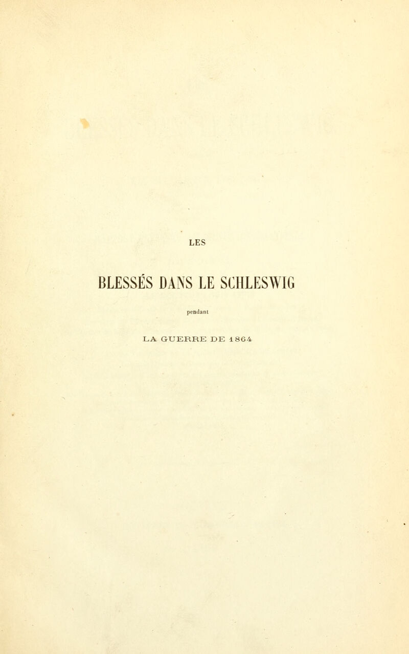 BLESSÉS DANS LE SCHLESWIG pendant LA GUERRE DE 1864