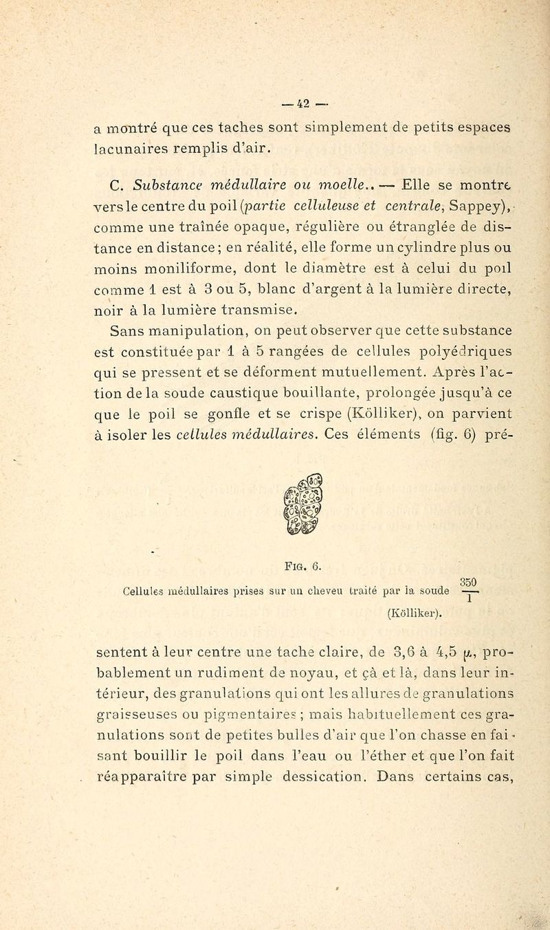 a montré que ces taches sont simplement de petits espaces lacunaires remplis d'air. C. Substance médullaire ou moelle,.— Elle se montre vers le centre du poil {partie celluleuse et centrale, Sappej), comme une traînée opaque, régulière ou étranglée de dis- tance en distance ; en réalité, elle forme un cylindre plus ou moins moniliforme, dont le diamètre est à celui du poil comme 1 est à 3 ou 5, blanc d'argent à la lumière directe, noir à la lumière transmise. Sans manipulation, on peut observer que cette substance est constituée par 1 à orangées de cellules polyédriques qui se pressent et se déforment mutuellement. Après l'ac- tion delà soude caustique bouillante, prolongée jusqu'à ce que le poil se gonfle et se crispe (Kôlliker), on parvient à isoler les cellules médullaires. Ces éléments (ûg. 6) pré- FiG. 6. ,350 Cellules médullaires prises sur un clieveu traite par la soude -—- 1 (Kôlliker). sentent à leur centre une tache claire, de 3,6 à 4,5 p., pro- bablement an rudiment de noyau, et çà et là, dans leur in- térieur, des granulations qui ont les allures de granulations graisseuses ou pigmentaires ; mais habituellement ces gra- nulations sont de petites bulles d'air que l'on chasse en fai - sant bouillir le poil dans l'eau ou l'éther et que l'on fait réapparaître par simple dessication. Dans certains cas.
