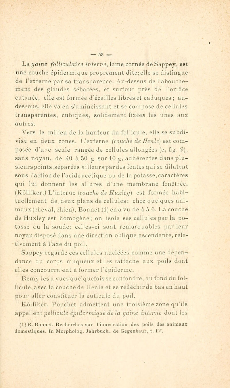 La gaine folliculaire interne, lame cornée deSappey, est une couche épidermique proprement dite; elle se distingue de l'externe par sa transparence. Au-dessas de l'abouche- ment des glandes sébacées, et surtout près de l'orifice cutanée, elle est formée décailles libres et caduques ; au- dessous, elle va en s'amincissant et se compose de cellules transparentes, cubicjues, solidement fixées les unes aux autres. Vers le milieu de la hauteur du follicule, elle se subdi- vis2 en deux zones. I/externe (couche de Henlz) est com- posée d'une seule rangée de cellules allongées (e, fig. 9), sans noyau, de 40 à 50 u. sur 10 fx, adhérentes dans plu- sieurspoints,séparées ailleurs pardes fentes qui se dilatent sous l'action de l'acide acétique ou de la potasse, caractères qui lui donnent les allures d'une membrane fenêtrée. (Kôlliker.) L'interne [cauzhe de Huxley) est formée habi- tuellement de deux plans de cellules: chez quelques ani- maux (cheval, chien), Bonnet (1) en a vu de 4 à 6. La couche de Huxley est homogène; on isole ses cellules par la po- tasse eu la soude; ccHes-ci sont remarquables parleur noyau disposé dans une direction oblique ascendante, rela- tivement à l'axe du poil. Sappey regarde ces cellules nucléées comme une dépen- dance du corps muqueux et les rattache aux poils dont elles concourraient à former i'épiderme. Remy les a vuesauelc[uefois se confondre, au fond du fol- licule, avec la couche de Henle et se réfléchir de bas en haut pour aller constituer la cuticule du poil. Kôlliiîer, Pouchet admettent une troisième zone qu'ils appellent pc/Zicuie épidermique de la gaine interne dont les (1)R, Bonnet. Recherches sur l'innervation des poils des animaux domestiques. In Morpholog. Jahrbuch. de Gegenbaur, t. IV.