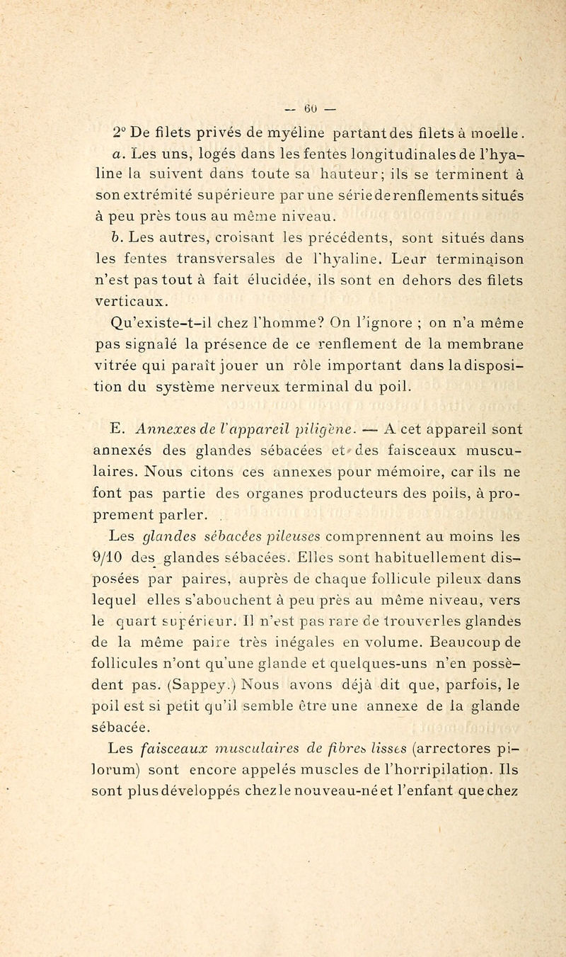 2° De filets privés de myéline partant des filets à moelle . a. Les uns, logés dans les fentes longitudinales de l'hya- line la suivent dans toute sa hauteur; ils se terminent à son extrémité supérieure par une série de renflements situés à peu près tous au même niveau. h. Les autres, croisant les précédents, sont situés dans les fentes transversales de l'hyaline. Lear terminaison n'est pas tout à fait élucidée, ils sont en dehors des filets verticaux. Qu'existe-t-il chez l'homme? On l'ignore ; on n'a même pas signalé la présence de ce renflement de la membrane vitrée qui paraît jouer un rôle important dans ladisposi- tion du système nerveux terminal du poil. E. Annexes de l'appareil piligene. — A cet appareil sont annexés des glandes sébacées et clés faisceaux muscu- laires. Nous citons ces annexes pour mémoire, car ils ne font pas partie des organes producteurs des poils, à pro- prement parler. . Les glandes sébacées pileuses comprennent au moins les 9/10 des glandes sébacées. Elles sont habituellement dis- posées par paires, auprès de chaque follicule pileux dans lequel elles s'abouchent à peu près au même niveau, vers le quart supérieur. Il n'est pas rare de trouverles glandes de la même paire très inégales en volume. Beaucoup de follicules n'ont qu'une glande et quelques-uns n'en possè- dent pas. (Sappey.) Nous avons déjà dit que, parfois, le poil est si petit qu'il semble être une annexe de la glande sébacée. Les faisceaux musculaires de fibres, lisses (arrectores pi- lorum) sont encore appelés muscles de l'horripilation. Ils sont plus développés chezle nouveau-né et l'enfant que chez