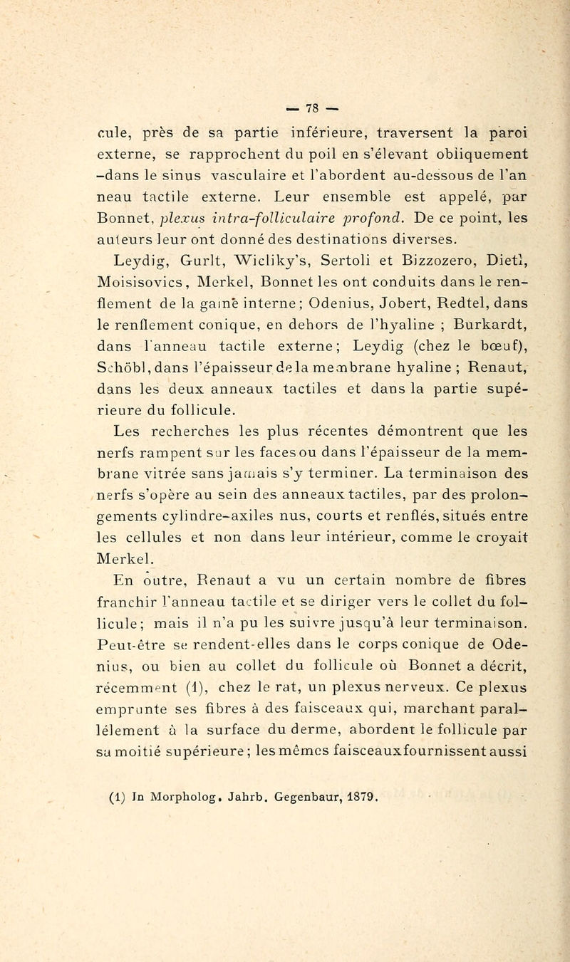 cule, près de sa partie inférieure, traversent la paroi externe, se rapprochent du poil en s'élevant obliquement -dans le sinus vasculaire et l'abordent au-dessous de l'an neau tactile externe. Leur ensemble est appelé, par Bonnet, plexus intra-foIUculaire profond. De ce point, les auteurs leur ont donné des destinations diverses, Leydig, Gurlt, Wicliky's, Sertoli et Bizzozero, Dietl, Moisisovics , INIerkel, Bonnet les ont conduits dans le ren- flement de la gainé interne; Odenius, Jobert, Redtel, dans le renflement conique, en dehors de l'hyaline ; Burkardt, dans l'anneau tactile externe; Leydig (chez le bœuf), Scliôbl,dans l'épaisseur delà mecnbrane hyaline ; Renaut, dans les deux anneaux tactiles et dans la partie supé- rieure du follicule. Les recherches les plus récentes démontrent que les nerfs rampent sur les faces ou dans l'épaisseur de la mem- brane vitrée sans jamais s'y terminer. La terminaison des nerfs s'opère au sein des anneaux tactiles, par des prolon- gements cylindre-axiles nus, courts et renflés, situés entre les cellules et non dans leur intérieur, comme le croyait Merkel. En outre, Renaut a vu un certain nombre de fibres franchir l'anneau tactile et se diriger vers le collet du fol- licule; mais il n'a pu les suivre jusqu'à leur terminaison. Peut-être se rendent-elles dans le corps conique de Ode- nius, ou bien au collet du follicule où Bonnet a décrit, récemment (4), chez le rat, un plexus nerveux. Ce plexus emprunte ses fibres à des faisceaux qui, marchant paral- lèlement à la surface du derme, abordent le follicule par sa moitié supérieure; les mêmes faisceauxfournissent aussi (1) In Morpholog. Jahrb. Gegenbaur, 1879.