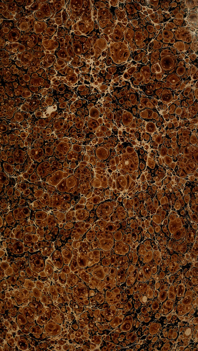 digitised image 3