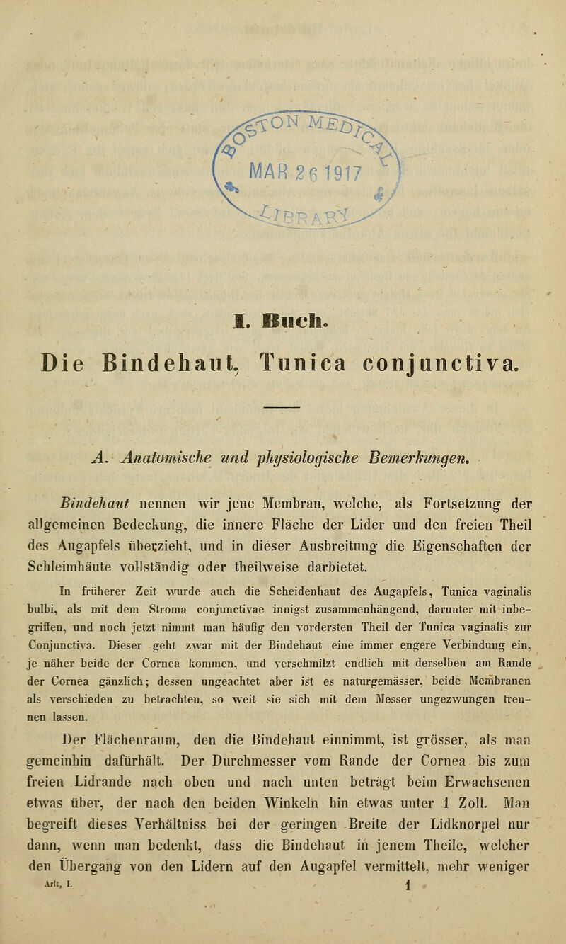 Die Bindehaut, Tunica conjunctiva. A. Anatomische und physiologische Bemerkungen. Bindehaut nennen wir jene Membran, welche, als Fortsetzung- der allgemeinen Bedeckung, die innere Fläche der Lider und den freien Theil des Augapfels überzieht, und in dieser Ausbreitung' die Eigenschaften der Schleimhäute vollständig oder theilweise darbietet. In früherer Zeit wurde auch die Scheidenhaut des Augapfels, Tunica vaginalis hulbi, als mit dem Stroma conjunctivae innigst zusammenhängend, darunter mit inbe- griffen, und noch jetzt nimmt man häufig den vordersten Theil der Tunica vaginalis zur Conjunctiva. Dieser geht zwar mit der Bindehaut eine immer engere Verbindung ein, je näher beide der Cornea kommen, und verschmilzt endlich mit derselben am Rande der Cornea gänzlich; dessen ungeachtet aber ist es naturgemässer, beide Membranen als verschieden zu betrachten, so weit sie sich mit dem Messer ungezwungen tren- nen lassen. Der Flächenraum, den die Bindehaut einnimmt, ist grösser, als man gemeinhin dafürhält. Der Durchmesser vom Rande der Cornea bis zum freien Lidrande nach oben und nach unten beträgt beim Erwachsenen etwas über, der nach den beiden Winkeln hin etwas unter 1 Zoll. Man begreift dieses Verhältniss bei der geringen Breite der Lidknorpel nur dann, wenn man bedenkt, dass die Bindehaut in jenem Theile, welcher den Übergang von den Lidern auf den Augapfel vermittelt, mehr weniger Arlt, I. |