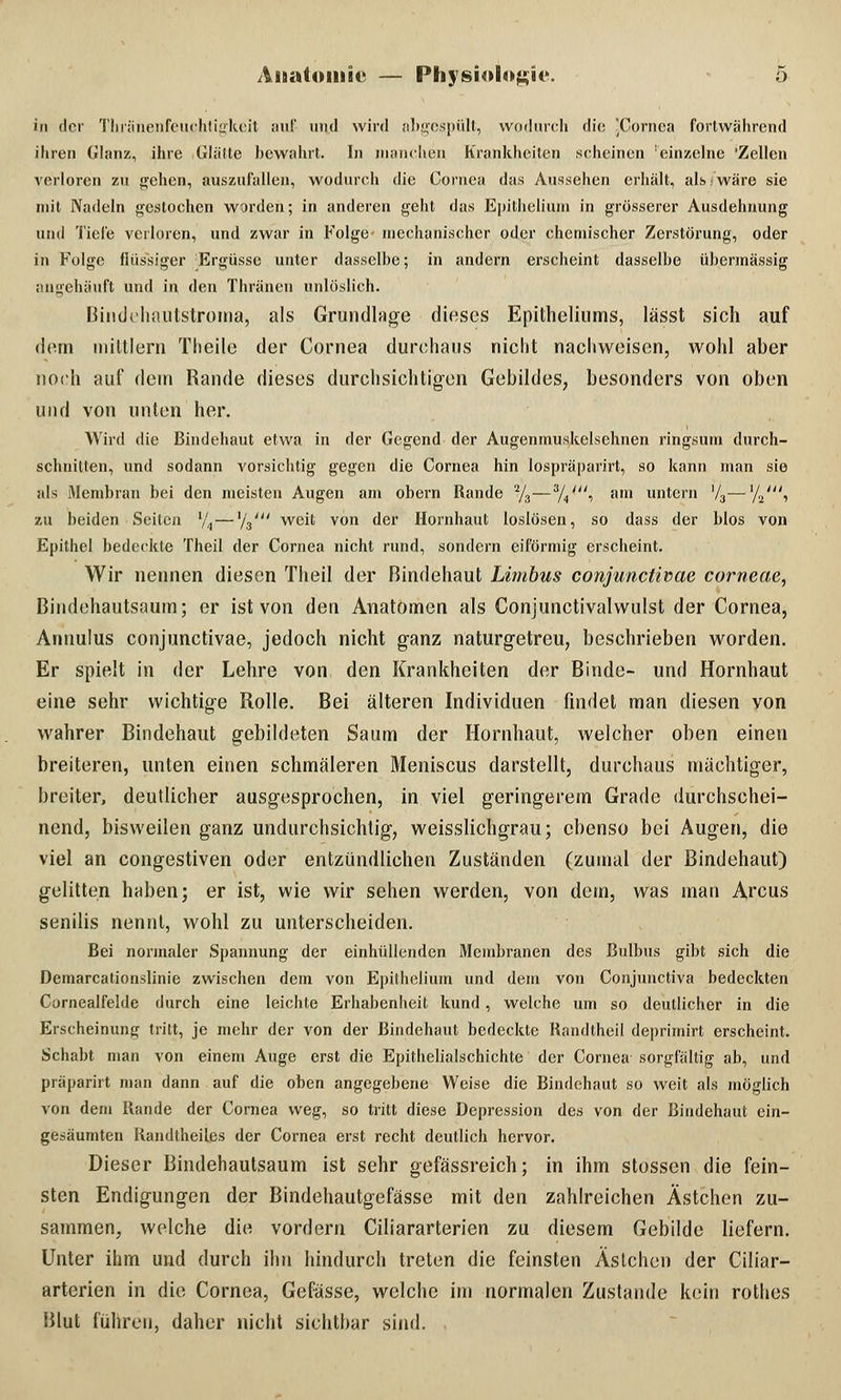 in der Thränenfeuchtigkeit auf und wird abgespült, wodurch die ^Cornea fortwährend ihren Glanz, ihre Glätte bewahrt. In manchen Krankheiten scheinen einzelne 'Zellen verloren zu gehen, auszufallen, wodurch die Cornea das Aussehen erhält, als I wäre sie mit Nadeln gestochen worden; in anderen geht das Epithclium in grösserer Ausdehnung und Tiefe verloren, und zwar in Folge- mechanischer oder chemischer Zerstörung, oder in Folge flüssiger Ergüsse unter dasselbe; in andern erscheint dasselbe übermässig angehäuft und in den Thränen unlöslich. Binddiautstroma, als Grundlage dieses Epitheliums, lässt sich auf dem mittlem Theile der Cornea durchaus nicht nachweisen, wohl aber noch auf dein Rande dieses durchsichtigen Gebildes, besonders von oben und von unten her. Wird die Bindehaut etwa in der Gegend der Augenmuskelschnen ringsum durch- schnitten, und sodann vorsichtig gegen die Cornea hin lospräparirt, so kann man sie als Membran bei den meisten Augen am obern Rande 2/3—3/4', am untern '/3—l/aS zu beiden Seilen '/,—1/3' weit von der Hornhaut loslösen, so dass der blos von Epithel bedeckte Theil der Cornea nicht rund, sondern eiförmig erscheint. Wir nennen diesen Theil der Bindehaut Limbus conjunctivae corneae, Bindehautsaum; er ist von den Anatomen als Conjunctivalwulst der Cornea, Annulus conjunctivae, jedoch nicht ganz naturgetreu, beschrieben worden. Er spielt in der Lehre von den Krankheiten der Binde- und Hornhaut eine sehr wichtige Rolle. Bei älteren Individuen findet man diesen von wahrer Bindehaut gebildeten Saum der Hornhaut, welcher oben einen breiteren, unten einen schmäleren Meniscus darstellt, durchaus mächtiger, breiter, deutlicher ausgesprochen, in viel geringerem Grade durchschei- nend, bisweilen ganz undurchsichtig, weisslichgrau; ebenso bei Augen, die viel an congestiven oder entzündlichen Zuständen (zumal der Bindehaut) gelitten haben; er ist, wie wir sehen werden, von dem, was man Arcus senilis nennt, wohl zu unterscheiden. Bei normaler Spannung der einhüllenden Membranen des Bulbus gibt sich die Demarcationslinie zwischen dem von Epithclium und dem von Conjunctiva bedeckten Curnealfelde durch eine leichte Erhabenheit kund, welche um so deutlicher in die Erscheinung tritt, je mehr der von der Bindehaut bedeckte Kandtheil deprimirt erscheint. Schabt man von einem Auge erst die Epithelialschichte der Cornea sorgfältig ab, und präparirt man dann auf die oben angegebene Weise die Bindehaut so weit als möglich von dem Rande der Cornea weg, so tritt diese Depression des von der Bindehaut ein- gesäumten Randtheües der Cornea erst recht deutlich hervor. Dieser Bindehautsaum ist sehr gefässreich; in ihm stossen die fein- sten Endigungen der Bindehautgefässe mit den zahlreichen Ästchen zu- sammen, welche die vordem Ciliararterien zu diesem Gebilde liefern. Unter ihm und durch ihn hindurch treten die feinsten Ästchen der Ciliar- arterien in die Cornea, Gefässe, welche im normalen Zustande kein rothes Blut führen, daher nicht sichtbar sind.