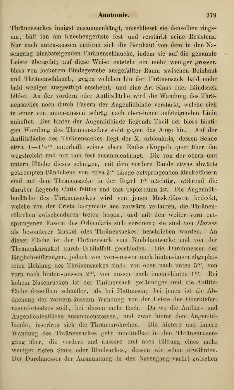 Thränensackes innigst zusammenhängt, umschliesst sie denselben rings- um, hält ihn am Knochengerüste fest und verstärkt seine Resistenz. Nur nach unten-aussen entfernt sich die Beinhaut von dem in den Na- sengang hinabsteigenden Thränenschlauche, indem sie auf die genannte Leiste übergeht; auf diese Weise entsteht ein mehr weniger grosser, bloss von lockerem Bindegewebe ausgefüllter Raum zwischen Beinhaut und Thräuenschlauch, gegen welchen hin der Thränensack bald mehr bald weniger ausgestülpt erscheint, und eine Art Sinus oder Blindsack bildet. An der vordem oder Antlitzfläche wird die Wandung des Thrä- nensackes noch durch Fasern der Augenlidbinde verstärkt, welche sich in einer von unten-aussen schräg nach oben-innen aufsteigenden Linie anheftet. Der hinter der Augenlidbinde liegende Theil der bloss häuti- gen Wandung des Thränensackes sieht gegen das Auge hin. Auf der Antlitzfläche des Thränensackes liegt der M. orbicularis, dessen Sehne etwa 1 — \il-i' unterhalb seines obern Endes (Kuppel) quer über ihn wegstreicht und mit ihm fest zusammenhängt. Die von der obern und untern Fläche dieses sehnigen, mit dem vordem Rande etwas abwärts gekreinpten Bändchens von circa V Lauge entspringenden Muskelfasern sind auf dem Thränensacke in der Regel V mächtig, während die darüber liegende Cutis fettlos und fast papierdünn ist. Die Augenhöh- lenfläche des Thränensackes wird von jenen Muskelfasern bedeckt, welche von der Crista lacrymalis aus vorwärts verlaufen, die Thränen- röhrchen zwischendurch treten lassen, und mit den weiter vorn ent- sprungenen Fasern des Orbicularis sich vereinen; sie sind von Homer als besonderer Muskel (des Thränensackes) beschrieben worden. An dieser Fläche ist der Thränensack vom Bindehautsacke und von der Thränenkarunkel durch Orbitalfett geschieden. Die Durchmesser der länglich-eiförmigen, jedoch von vorn-aussen nach hinten-innen abgeplat- teten Höhlung des Thränensackes sind: von oben nach unten 5//y, von vorn nach hinten-aussen 2', von aussen nach innen-hinten V. Bei hohem Nasenrücken ist der Thränensack geräumiger und die Antlitz- fläche desselben schmäler, als bei Plattnasen; bei jenen ist die Ab- dachung der vordern-äussern Wandung von der Leiste des Oberkiefer- nasenfortsatzes steil, bei diesen mehr flach. Da wo die Antlitz- und Augenhöhlenfläche zusammenstossen, und zwar hinter dem Augenlid- hande, iuseriren sich die Thränenröhrchen. Die hintere und innere Wandung des Thränensackes geht unmittelbar in den Thränennasen- gang über, die vordere und äussere erst nach Bildung eines mehr weniger tiefen Sinus oder Blindsackes, dessen wir schon erwähnten. Der Durchmesser der Ausmündimg in den Nasengang variirt zwischen