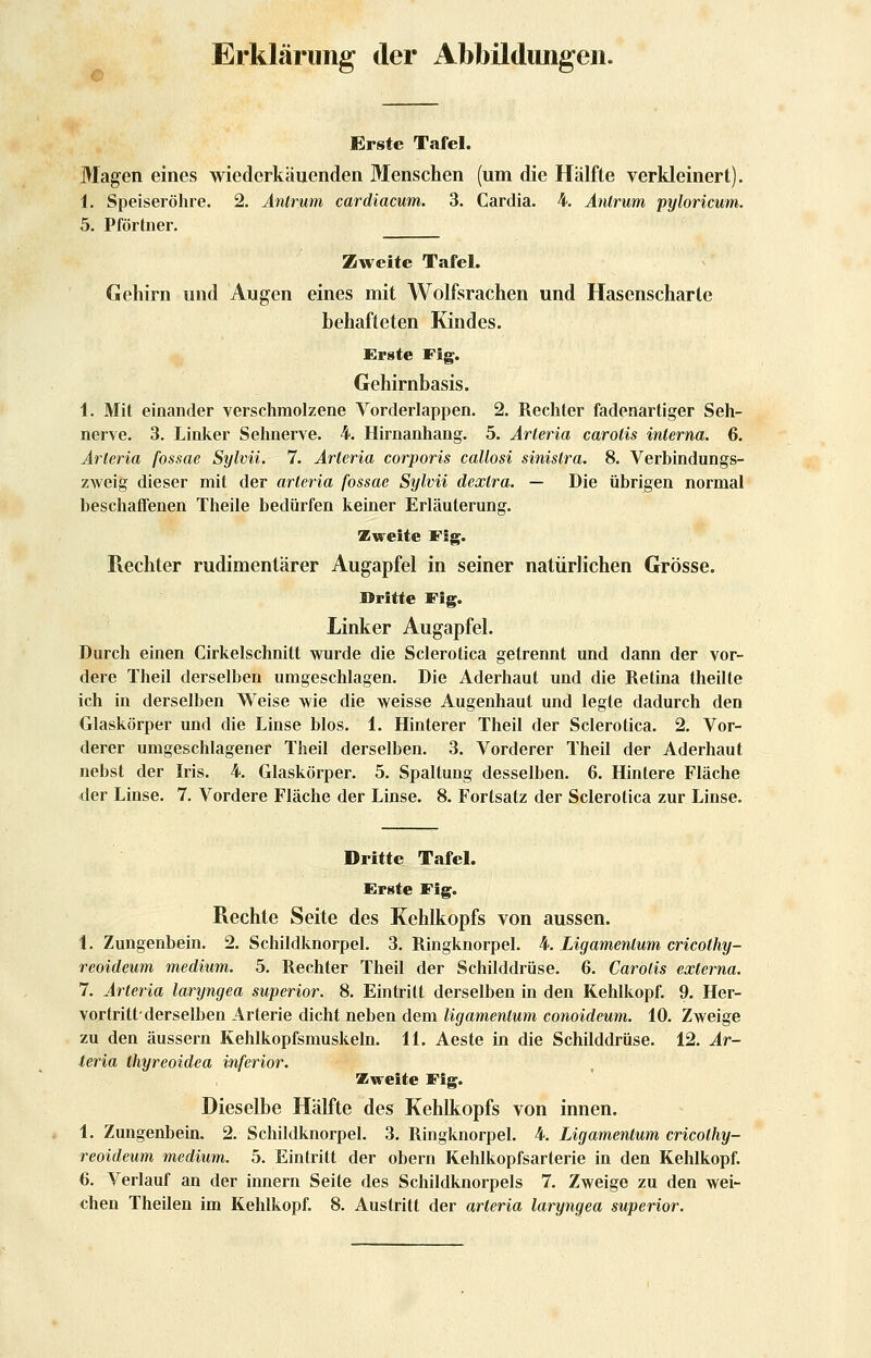 Erklärung der Abbildungen. Erste Tafel. Magen eines wiederkäuenden Menschen (um die Hälfte verkleinert). i. Speiseröhre. 2. Anlrum cardiacum. 3. Cardia. 4. Anlrum pyloricum. 5. Pförtner, Zweite Tafel. Gehirn und Augen eines mit Wolfsrachen und Hasenscharte behafteten Kindes. Erste Fig. Gehirn basis. 1. Mit einander verschmolzene Vorderlappen. 2. Rechter fadenartiger Seh- nerve. 3. Linker Sehnerve. 4. Hirnanhang. 5. Arteria carotis interna. 6. Arteria fossae Sylvii. 7. Arteria corporis callosi sinistra. 8. Verbindungs- zweig dieser mit der arteria fossae Sylvii dextra. — Die übrigen normal beschaffenen Theile bedürfen keiner Erläuterung. Zweite Fig. Rechter rudimentärer Augapfel in seiner natürlichen Grösse. Dritte Fig. Linker Augapfel. Durch einen Cirkelschnitt wurde die Sclerotica getrennt und dann der vor- dere Theil derselben umgeschlagen. Die Aderhaut und die Retina theilte ich in derselben Weise wie die weisse Augenhaut und legte dadurch den Glaskörper und die Linse blos. i. Hinterer Theil der Sclerotica. 2. Vor- derer umgeschlagener Theil derselben. 3. Vorderer Theil der Aderhaut nebst der Iris. 4. Glaskörper. 5. Spaltung desselben. 6. Hintere Fläche der Linse. 7. Vordere Fläche der Linse. 8. Fortsatz der Sclerotica zur Linse. Dritte Tafel. Erste Fig. Rechte Seite des Kehlkopfs von aussen. i. Zungenbein. 2. Schildknorpel. 3. Ringknorpel. 4. Ligamentum cricothy- reoideum medium. 5. Rechter Theil der Schilddrüse. 6. Carotis externa. 7. Arteria laryngea superior. 8. Eintritt derselben in den Kehlkopf. 9. Her- vortritt'derselben Arterie dicht neben dem tigamentum conoideum. 10. Zweige zu den äussern Kehlkopfsmuskeln. 11. Aeste in die Schilddrüse. 12. Ar- teria thyreoidea inferior. Zweite Fig. Dieselbe Hälfte des Kehlkopfs von innen. 1. Zungenbein. 2. Schildknorpel, 3. Ringknorpel. 4. Ligamentum cricolhy- reoideum medium. 5. Eintritt der obern Kehlkopfsarterie in den Kehlkopf. 6. Verlauf an der Innern Seite des Schildknorpels 7. Zweige zu den wei-