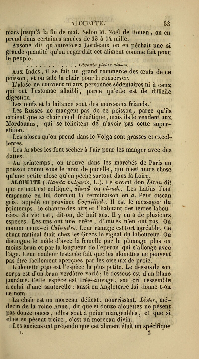 mars jusqu'à la fin de mai. Selon M. Noël de Rouen, on en prend dans certaines années de 13 à 44 mille. Ausone dit qu'autrefois à Bordeaux on en péchait une si grande quantité qu'on regardait cet aliment comme fait pour le peuple. Obsonia plebis alosas. Aux Indes, il se fait un grand commerce des oeufs de ce poisson, et on sale la chair pour la conserver. L'alose ne convient ni aux personnes sédentaires ni à ceux qui ont l'estomac affaibli, parce qu'elle est de difficile digestion. Les œufs et la laitance sont des morceaux friands.! Les Russes ne mangent pas de ce poisson, parce qu'ils croient que sa chair rend frénétique, mais ils le vendent aux Mordouans, qui se félicitent de n'avoir pas cette super- stition. Les aloses qu'on prend dans le Volga sont grasses et excel- lentes. Les Arabes les font sécher à l'air pour les manger avec des dattes. Au printemps, on trouve dans les marchés de Paris un poisson connu sous le nom de pucelle, qui n'est autre chose qu'une petite alose qu'on pêche surtout dans la Loire. ALOUETTE (Alauda vulgaris, L.). Le savant don Liron dit que ce mot est celtique, alaud ou alande. Les Latins l'ont emprunté en lui donnant la terminaison en a. Petit oiseau gris, appelé en province Coquillade. Il est le messager du printemps, le chantre des airs et l'habitant des terres labou- rées. Sa vie est, dit-on, de huit ans. Il y en a de plusieurs espèces. Les uns ont une crête, d'autres n'en ont pas. On nomme ceux-ci Calandre. Leur ramage est fort agréable. Ce chant matinal était chez les Grecs le signal du laboureur. On distingue le mâle d'avec la femelle par le plumage plus ou moins brun et par la longueur de l'éperon qui s'allonge avec l'âge. Leur couleur testacée fait que les alouettes ne peuvent pas être facilement aperçues par les oiseaux de proie. L'alouette pipi est Fespèce la plus petite. Le dessus de son corps est d'un brun verdâtre varié ; le dessous est d'un blanc jaunâtre. Cette espèce est très-sauvage ; son cri ressemble à celui d'une sauterelle : aussi en Angleterre lui donne-t-on ce nom. La chair est un morceau délicat, nourrissant. Lister, mé- decin de la reine Anne, dit que si douze alouettes ne pèsent pas douze onces, elles sont à peine mangeables, et que si elles en pèsent treize , c'est un morceau divin. Les anciens ont prétendu que cet aliment était un spécifique t. 3