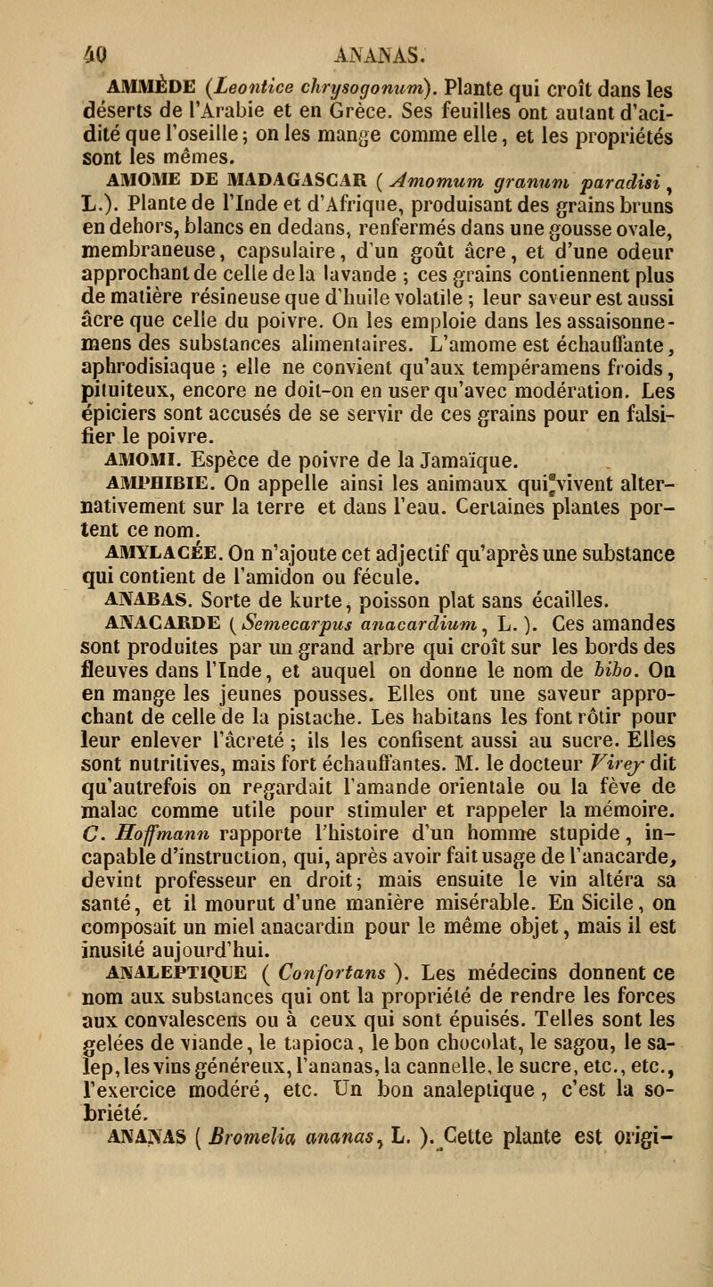 AMMÈDE (Leontice chrysogonum). Plante qui Croît dans les déserts de l'Arabie et en Grèce. Ses feuilles ont autant d'aci- dité que l'oseille ; on les mange comme elle, et les propriétés sont les mêmes. AMOME DE MADAGASCAR ( Aniomum granum paradisi , L.). Plante de l'Inde et d'Afrique, produisant des grains bruns en dehors, blancs en dedans, renfermés dans une gousse ovale, membraneuse, capsulaire, d'un goût acre, et d'une odeur approchant de celle delà lavande ; ces grains contiennent plus de matière résineuse que d'huile volatile ; leur saveur est aussi acre que celle du poivre. On les emploie dans les assaisonne- mens des substances alimentaires. L'amome est échauffante, aphrodisiaque ; elle ne convient qu'aux tempéramens froids, pituiteux, encore ne doit-on en user qu'avec modération. Les épiciers sont accusés de se servir de ces grains pour en falsi- fier le poivre. amomi. Espèce de poivre de la Jamaïque. amphibie. On appelle ainsi les animaux qui*vivent alter- nativement sur la terre et dans l'eau. Certaines plantes por- tent ce nom. amylacée. On n'ajoute cet adjectif qu'après une substance qui contient de l'amidon ou fécule. anabas. Sorte de kurte, poisson plat sans écailles. ANACARDE (Semecarpus anacardium, L. ). Ces amandes sont produites par un grand arbre qui croît sur les bords des fleuves dans l'Inde, et auquel on donne le nom de hiho. On en mange les jeunes pousses. Elles ont une saveur appro- chant de celle de la pistache. Les habitans les font rôtir pour leur enlever l'âcreté ; ils les confisent aussi au sucre. Elles sont nutritives, mais fort échauffantes. M. le docteur Virejr dit qu'autrefois on regardait l'amande orientale ou la fève de malac comme utile pour stimuler et rappeler la mémoire. C. Hoffmann rapporte l'histoire d'un homme stupide, in- capable d'instruction, qui, après avoir fait usage de l'anacarde, devint professeur en droit; mais ensuite le vin altéra sa santé, et il mourut d'une manière misérable. En Sicile, on composait un miel anacardin pour le même objet, mais il est inusité aujourd'hui. analeptique ( Confortans ). Les médecins donnent ce nom aux substances qui ont la propriété de rendre les forces aux convalescens ou à ceux qui sont épuisés. Telles sont les gelées de viande, le tapioca, le bon chocolat, le sagou, le sa- lep, les vins généreux, l'ananas, la cannelle, le sucre, etc., etc., l'exercice modéré, etc. Un bon analeptique, c'est la so- briété. ANANAS ( Bromelia ananas, L. ).Cette plante est origi-