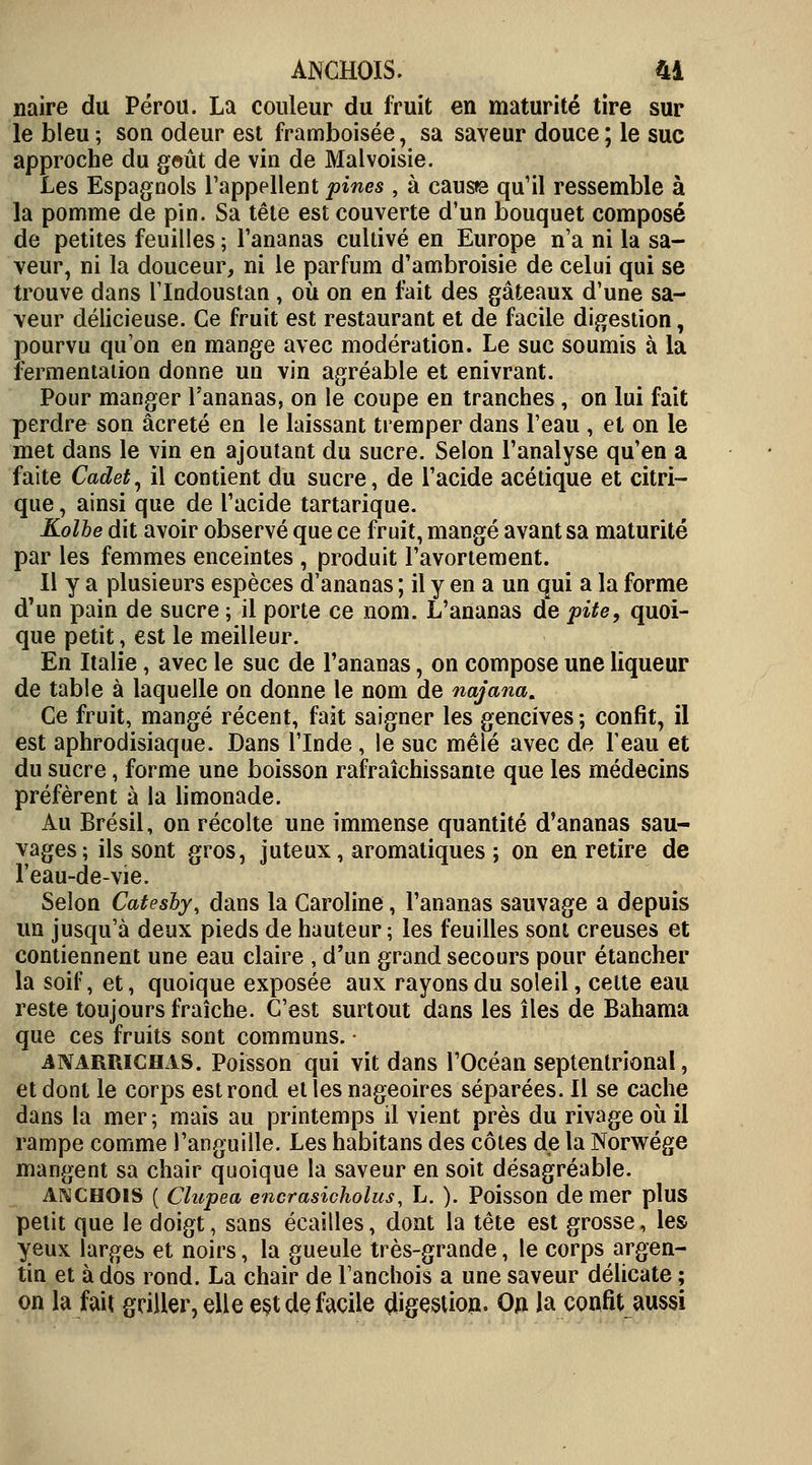 naire du Pérou. La couleur du fruit en maturité tire sur le bleu -, son odeur est framboisée, sa saveur douce ; le suc approche du geût de vin de Malvoisie. Les Espagnols l'appellent fines , à causée qu'il ressemble à la pomme de pin. Sa tête est couverte d'un bouquet composé de petites feuilles ; l'ananas cultivé en Europe n'a ni la sa- veur, ni la douceur, ni le parfum d'ambroisie de celui qui se trouve dans l'Indoustan , où on en fait des gâteaux d'une sa- veur délicieuse. Ce fruit est restaurant et de facile digestion, pourvu qu'on en mange avec modération. Le suc soumis à la fermentation donne un vin agréable et enivrant. Pour manger l'ananas, on le coupe en tranches, on lui fait perdro son âcreté en le laissant tremper dans l'eau , et on le met dans le vin en ajoutant du sucre. Selon l'analyse qu'en a faite Cadet, il contient du sucre, de l'acide acétique et citri- que , ainsi que de l'acide tartarique. Kolbe dit avoir observé que ce fruit, mangé avant sa maturité par les femmes enceintes , produit l'avortement. Il y a plusieurs espèces d'ananas ; il y en a un qui a la forme d'un pain de sucre ; il porte ce nom. L'ananas de pite, quoi- que petit, est le meilleur. En Italie, avec le suc de l'ananas, on compose une liqueur de table à laquelle on donne le nom de najana. Ce fruit, mangé récent, fait saigner les gencives ; confit, il est aphrodisiaque. Dans l'Inde , le suc mêlé avec de leau et du sucre, forme une boisson rafraîchissante que les médecins préfèrent à la limonade. Au Brésil, on récolte une immense quantité d'ananas sau- vages; ils sont gros, juteux, aromatiques ; on en retire de Feau-de-vie. Selon Catesby, dans la Caroline, l'ananas sauvage a depuis un jusqu'à deux pieds de hauteur ; les feuilles sont creuses et contiennent une eau claire , d'un grand secours pour étancher la soif, et, quoique exposée aux rayons du soleil, cette eau reste toujours fraîche. C'est surtout dans les îles de Bahama que ces fruits sont communs. ilNARRiCiLis. Poisson qui vit dans l'Océan septentrional, et dont le corps est rond et les nageoires séparées. Il se cache dans la mer ; mais au printemps il vient près du rivage où il rampe comme l'anguille. Les habitans des côtes de la Norwége mangent sa chair quoique la saveur en soit désagréable. ANCHOIS ( Clupea encrasicholus, L. ). Poisson de mer plus petit que le doigt, sans écailles, dont la tête est grosse, les yeux larges et noirs, la gueule très-grande, le corps argen- tin et à dos rond. La chair de l'anchois a une saveur délicate ; on la fait griller, elle e§t de facile digestion. On la confit aussi