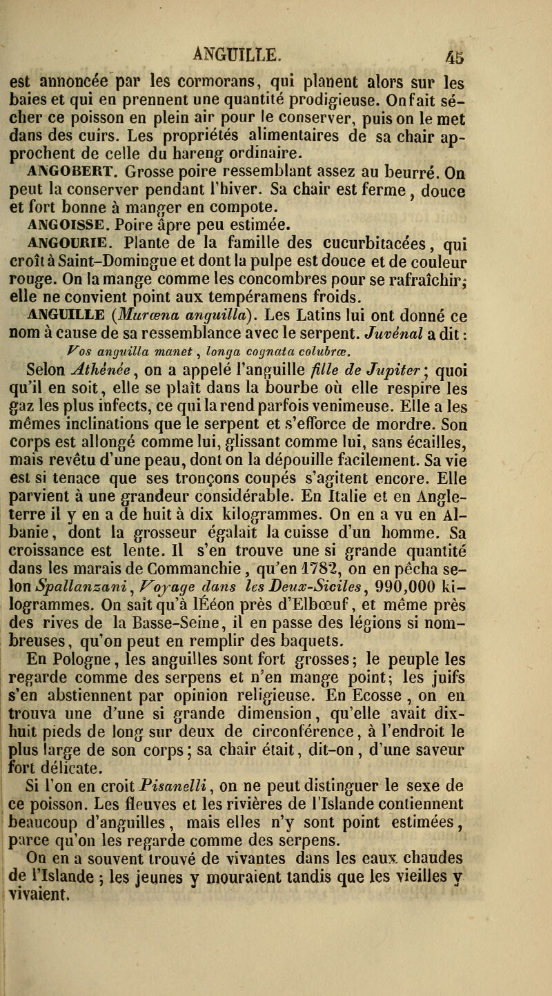 est annoncée par les cormorans, qui planent alors sur les baies et qui en prennent une quantité prodigieuse. On fait sé- cher ce poisson en plein air pour le conserver, puis on le met dans des cuirs. Les propriétés alimentaires de sa chair ap- prochent de celle du hareng ordinaire. AIVGOBERT. Grosse poire ressemblant assez au beurré. On peut la conserver pendant l'hiver. Sa chair est ferme, douce et fort bonne à manger en compote. ANGOISSE. Poire âpre peu estimée. angoerie. Plante de la famille des cucurbitacées, qui croît à Saint-Domingue et dont la pulpe est douce et de couleur rouge. On la mange comme les concombres pour se rafraîchir^ elle ne convient point aux tempéramens froids. ANGUILLE (Murœna anguilla). Les Latins lui ont donné ce nom à cause de sa ressemblance avec le serpent. Juvênal a dit : Vos anguilla manet, longa cognata colubrœ. Selon Athénée, on a appelé l'anguille fille de Jupiter ; quoi qu'il en soit, elle se plaît dans la bourbe où elle respire les gaz les plus infects, ce qui la rend parfois venimeuse. Elle a les mêmes inclinations que le serpent et s'efforce de mordre. Son corps est allongé comme lui, glissant comme lui, sans écailles, mais revêtu d'une peau, dont on la dépouille facilement. Sa vie est si tenace que ses tronçons coupés s'agitent encore. Elle parvient à une grandeur considérable. En Italie et en Angle- terre il y en a de huit à dix kilogrammes. On en a vu en Al- banie , dont la grosseur égalait la cuisse d'un homme. Sa croissance est lente. Il s'en trouve une si grande quantité dans les marais de Commanchie, qu'en 1782, on en pécha se- lon Spallanzani, Voyage dans les Deuœ-Siciles, 990,000 ki- logrammes. On sait qu'à lÉéon près d'Elbœuf, et même près des rives de la Basse-Seine, il en passe des légions si nom- breuses, qu'on peut en remplir des baquets. En Pologne, les anguilles sont fort grosses ; le peuple les regarde comme des serpens et n'en mange point; les juifs s'en abstiennent par opinion religieuse. En Ecosse , on en trouva une d'une si grande dimension, qu'elle avait dix- huit pieds de long sur deux de circonférence, à l'endroit le plus large de son corps; sa chair était, dit-on, d'une saveur fort délicate. Si l'on en croit Pisanelli, on ne peut distinguer le sexe de ce poisson. Les fleuves et les rivières de l'Islande contiennent beaucoup d'anguilles, mais elles n'y sont point estimées, parce qu'on les regarde comme des serpens. On en a souvent trouvé de vivantes dans les eaux chaudes de l'Islande -, les jeunes y mouraient tandis que les vieilles y vivaient.