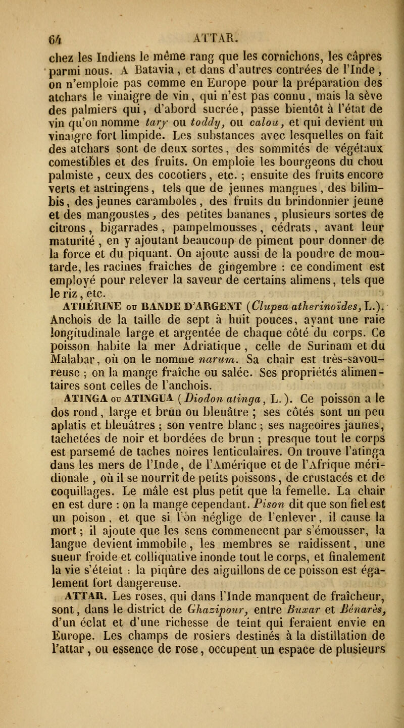6/1 ATTAR. chez les Indiens le même rang que les cornichons, les câpres parmi nous. A Batavia, et dans d'autres contrées de l'Inde , on n'emploie pas comme en Europe pour la préparation des atchars le vinaigre de vin, qui n'est pas connu, mais la sève des palmiers qui, d'abord sucrée, passe bientôt à l'état de vin qu'on nomme tary ou toddy, ou calou, et qui devient un vinaigre fort limpide. Les substances avec lesquelles on fait des atchars sont de deux sortes, des sommités de végétaux comestibles et des fruits. On emploie les bourgeons du chou palmiste , ceux des cocotiers, etc. ; ensuite des fruits encore verts et astringens, tels que de jeunes mangues , des bilim- bis, des jeunes caramboles, des fruits du brindonnier jeune et des mangoustes, des petites bananes , plusieurs sortes de citrons , bigarrades , pampelmousses, cédrats , avant leur maturité , en y ajoutant beaucoup de piment pour donner de la force et du piquant. On ajoute aussi de la poudre de mou- tarde, les racines fraîches de gingembre : ce condiment est employé pour relever la saveur de certains alimens, tels que le riz, etc. ATHÉRINE ou BANDE D'ARGENT (Clupea atherinoïdes, L.). Anchois de la taille de sept à huit pouces, ayant une raie longitudinale large et argentée de chaque côté du corps. Ce poisson habite la mer Adriatique, celle de Surinam et du Malabar, où on le nomme narum. Sa chair est très-savou- reuse ; on la mange fraîche ou salée. Ses propriétés alimen- taires sont celles de l'anchois. ATINGA ou ATINGUA ( Biodon atinga, L. ). Ce poisson a le dos rond, large et brun ou bleuâtre ; ses côtés sont un peu aplatis et bleuâtres ; son ventre blanc ; ses nageoires jaunes, tachetées de noir et bordées de brun -, presque tout le corps est parsemé de taches noires lenticulaires. On trouve l'atinga dans les mers de l'Inde, de l'Amérique et de l'Afrique méri- dionale , où il se nourrit de petits poissons, de crustacés et de coquillages. Le mâle est plus petit que la femelle. La chair en est dure : on la mange cependant. Pison dit que son fiel est un poison, et que si 1 on néglige de l'enlever, il cause la mort ; il ajoute que les sens commencent par s'émousser, la langue devient immobile, les membres se raidissent, une sueur froide et colîiqualive inonde tout le corps, et finalement la vie s'éteint : la piqûre des aiguillons de ce poisson est éga- lement fort dangereuse. attar. Les roses, qui dans l'Inde manquent de fraîcheur, sont, dans le district de Ghazipour, entre Buxar et Bénarès, d'un éclat et d'une richesse de teint qui feraient envie en Europe. Les champs de rosiers destinés à la distillation de l'attar, ou essence de rose, occupent un espace de plusieurs
